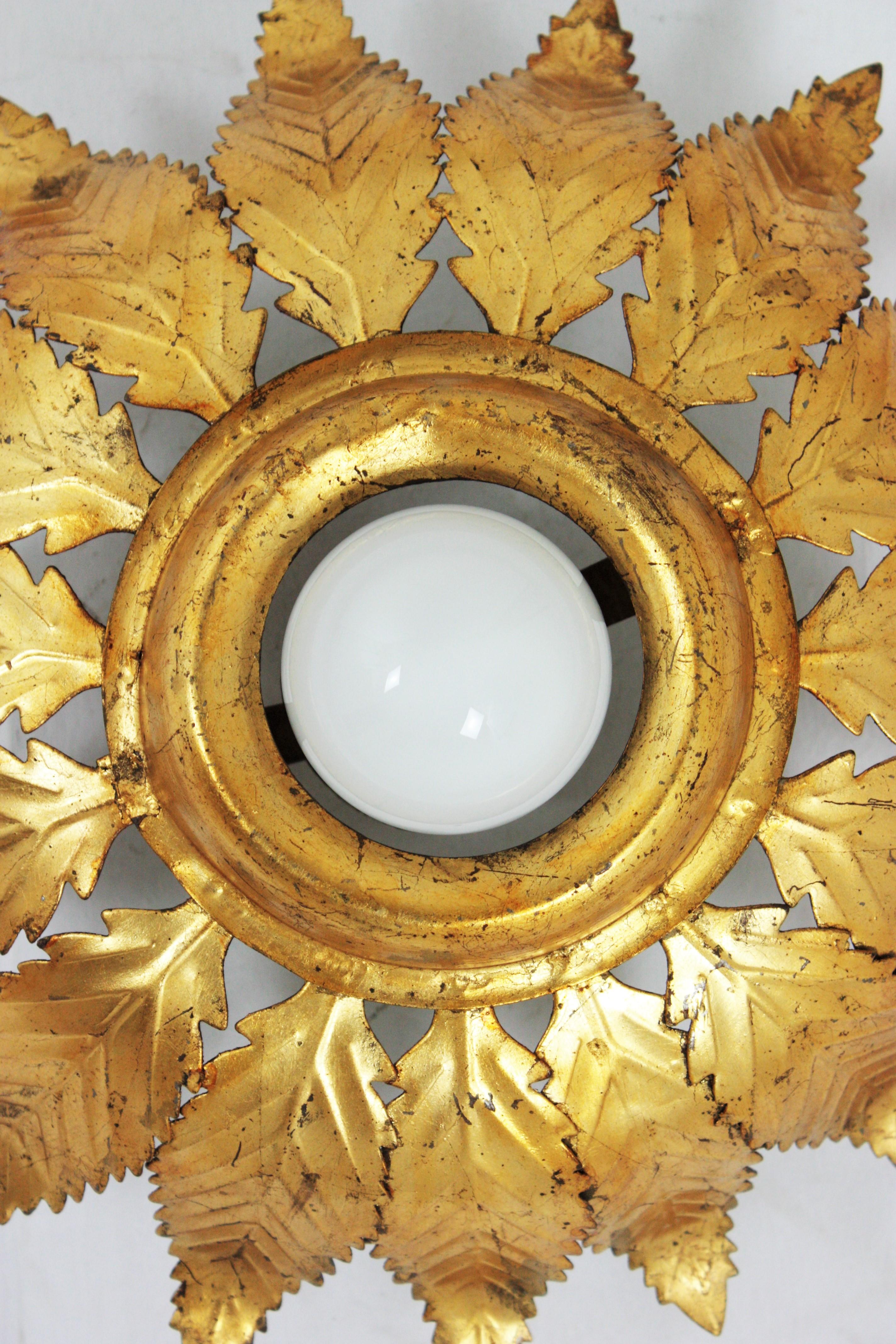 Sunburst Crown Leafed Light Fixture in Gilt Iron For Sale 3