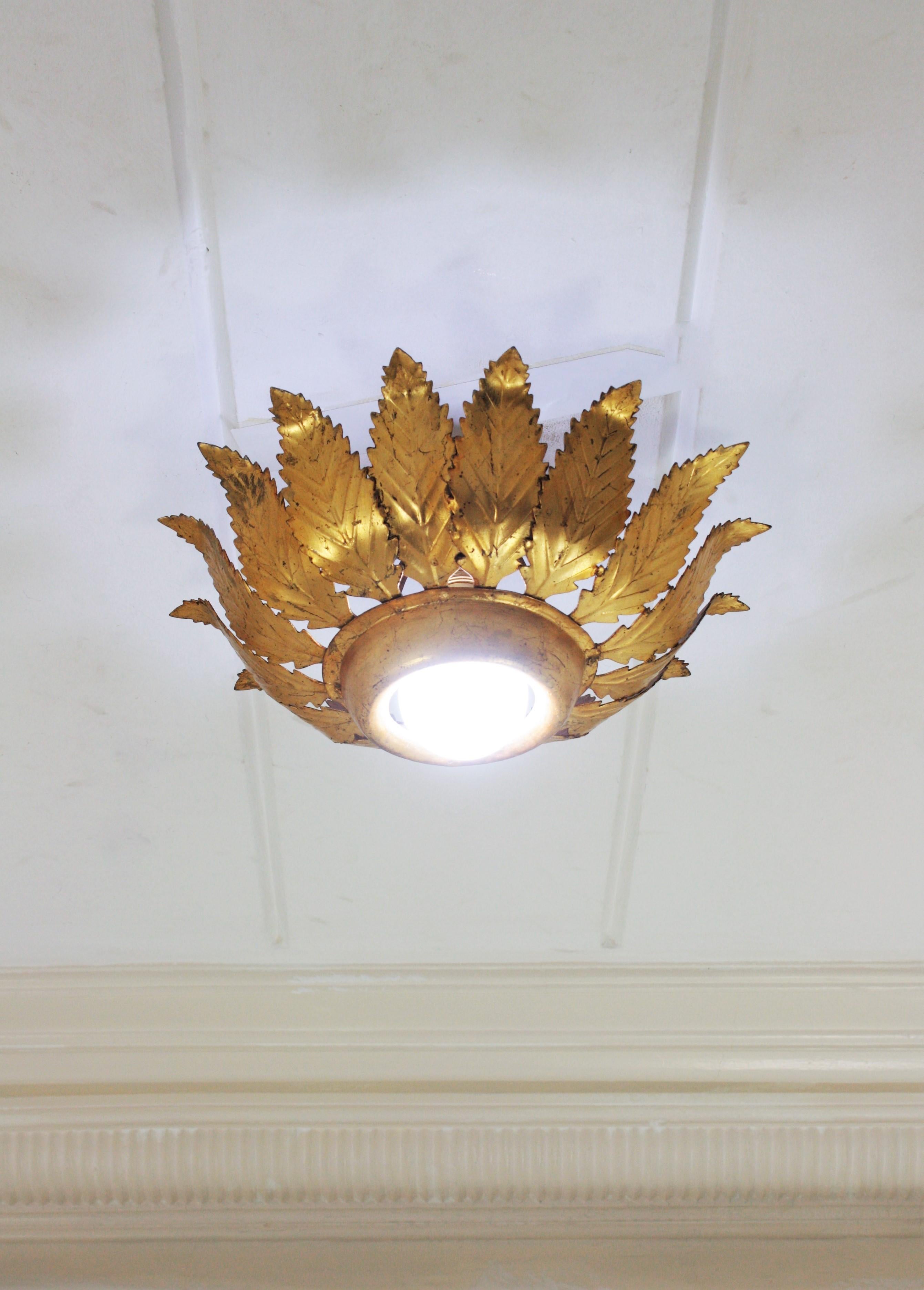 Sunburst Crown Leafed Light Fixture in Gilt Iron For Sale 6