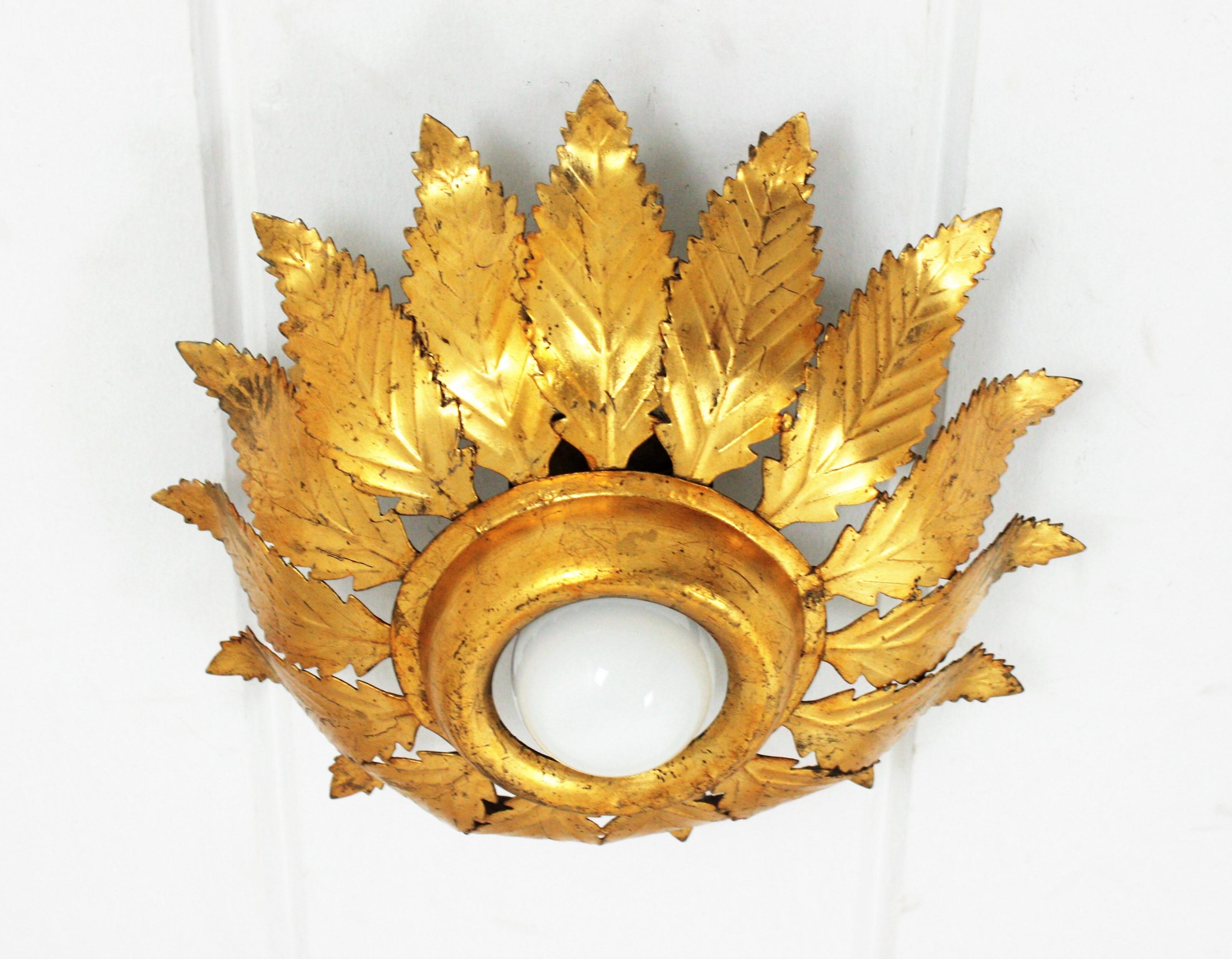 Sunburst Crown Leafed Light Fixture in Gilt Iron For Sale 10