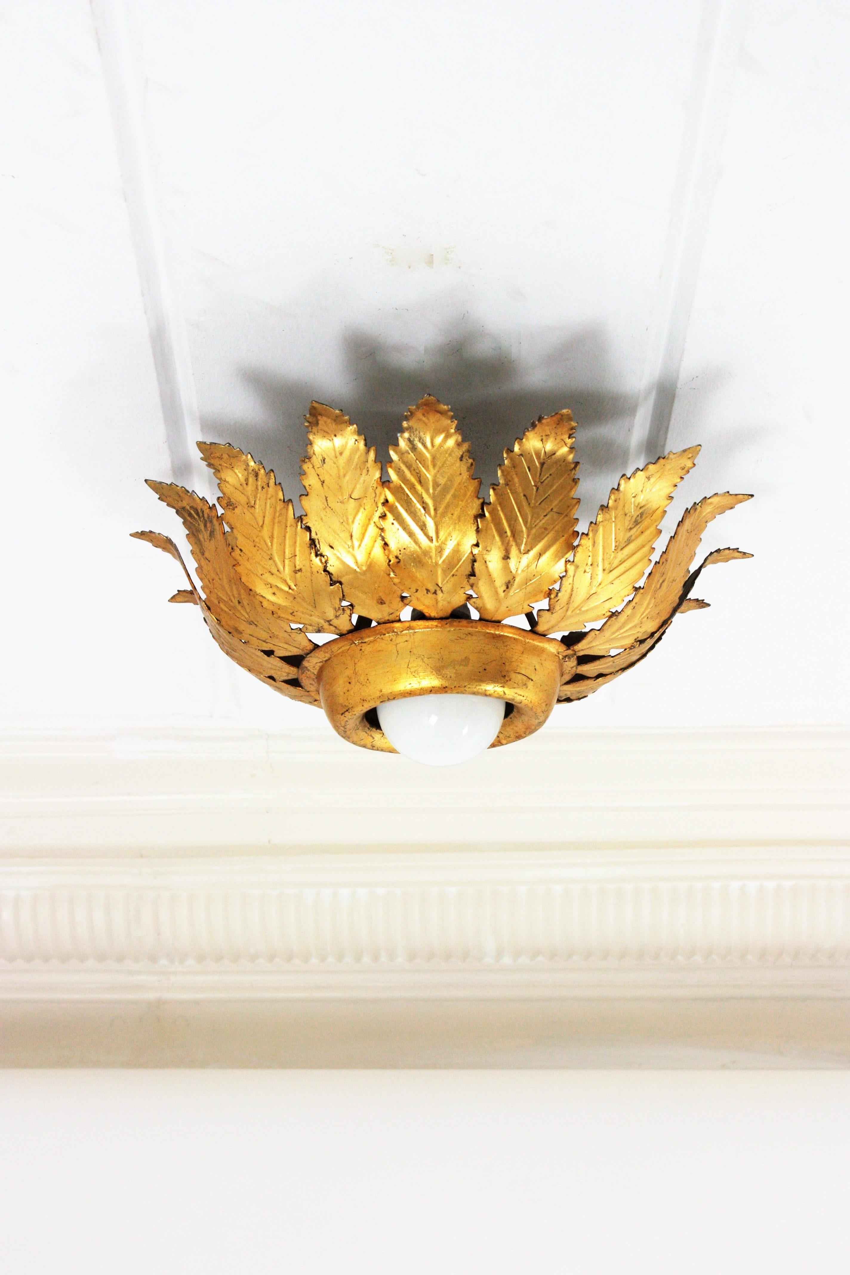 Spanish Sunburst Crown Leafed Light Fixture in Gilt Iron For Sale