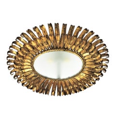 Sunburst Eyelash Ceiling Light Fixture in Gilt Wrought Iron, France, 1950s