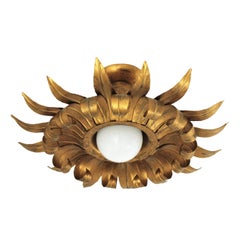 Sunburst Eyelash Flush Mount in Gilt Metal