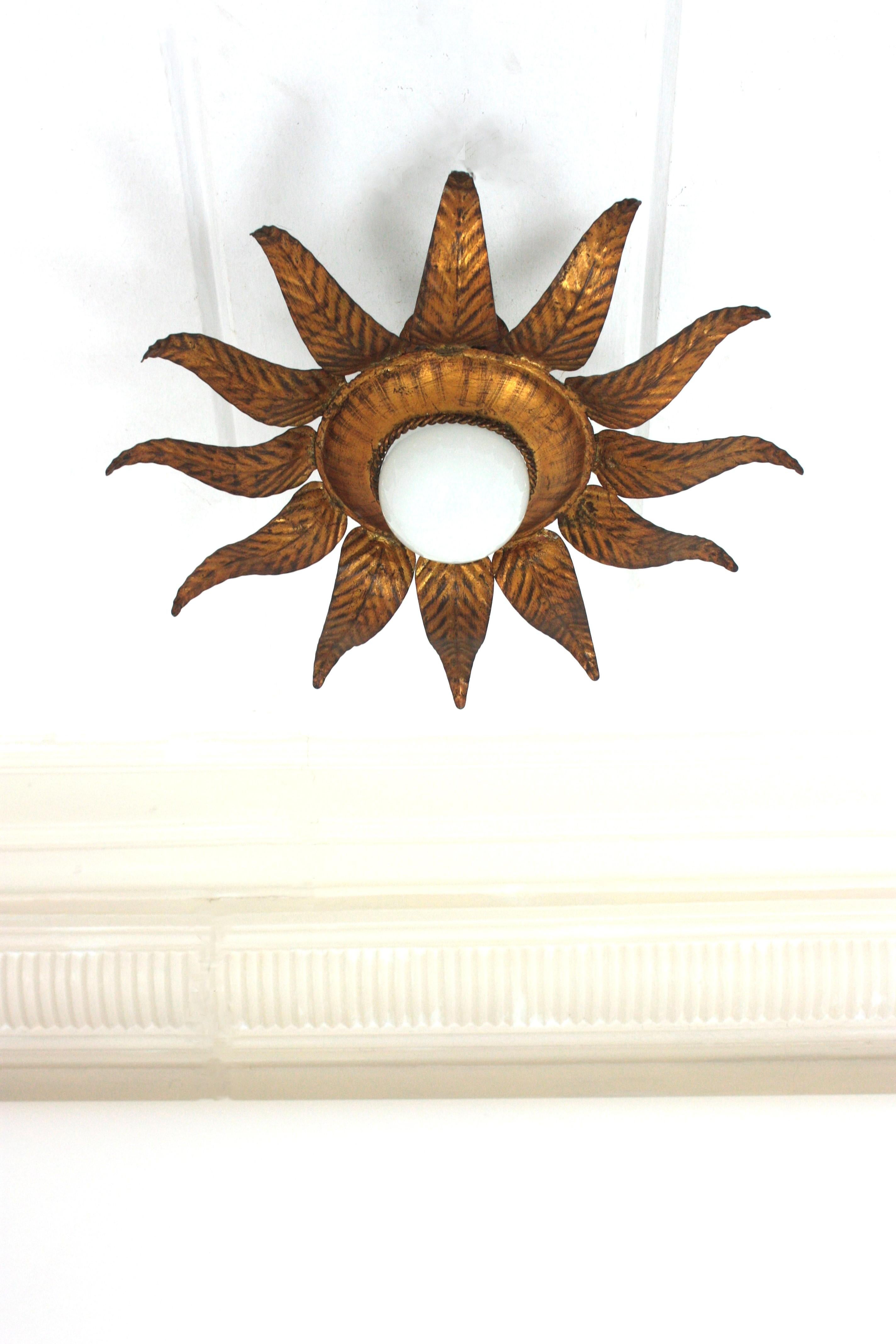 Spanish Sunburst Flower Light Fixture in Gilt Iron and Gold Leaf