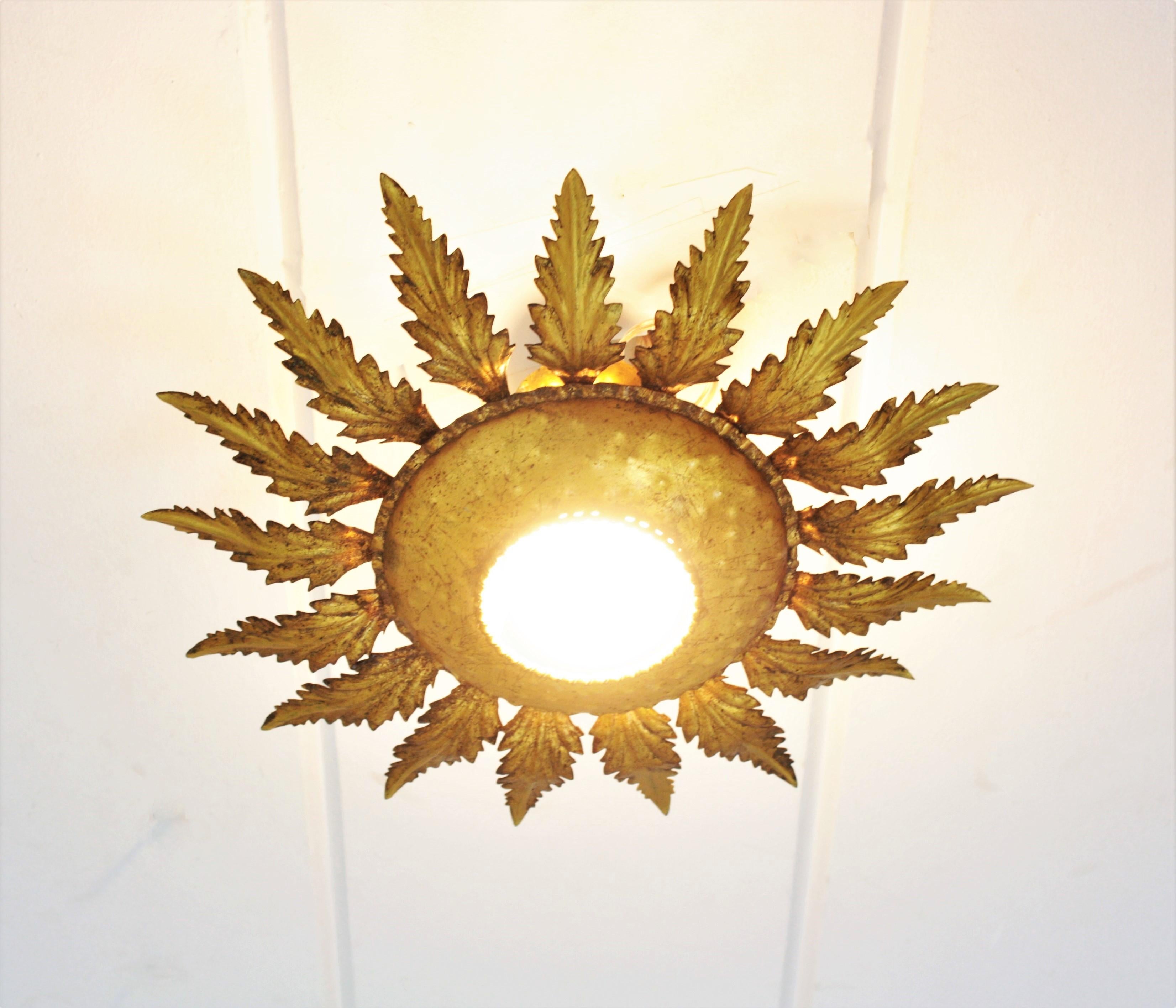 Sunburst Flower Foliage Light Fixture in Gilt Iron For Sale 4