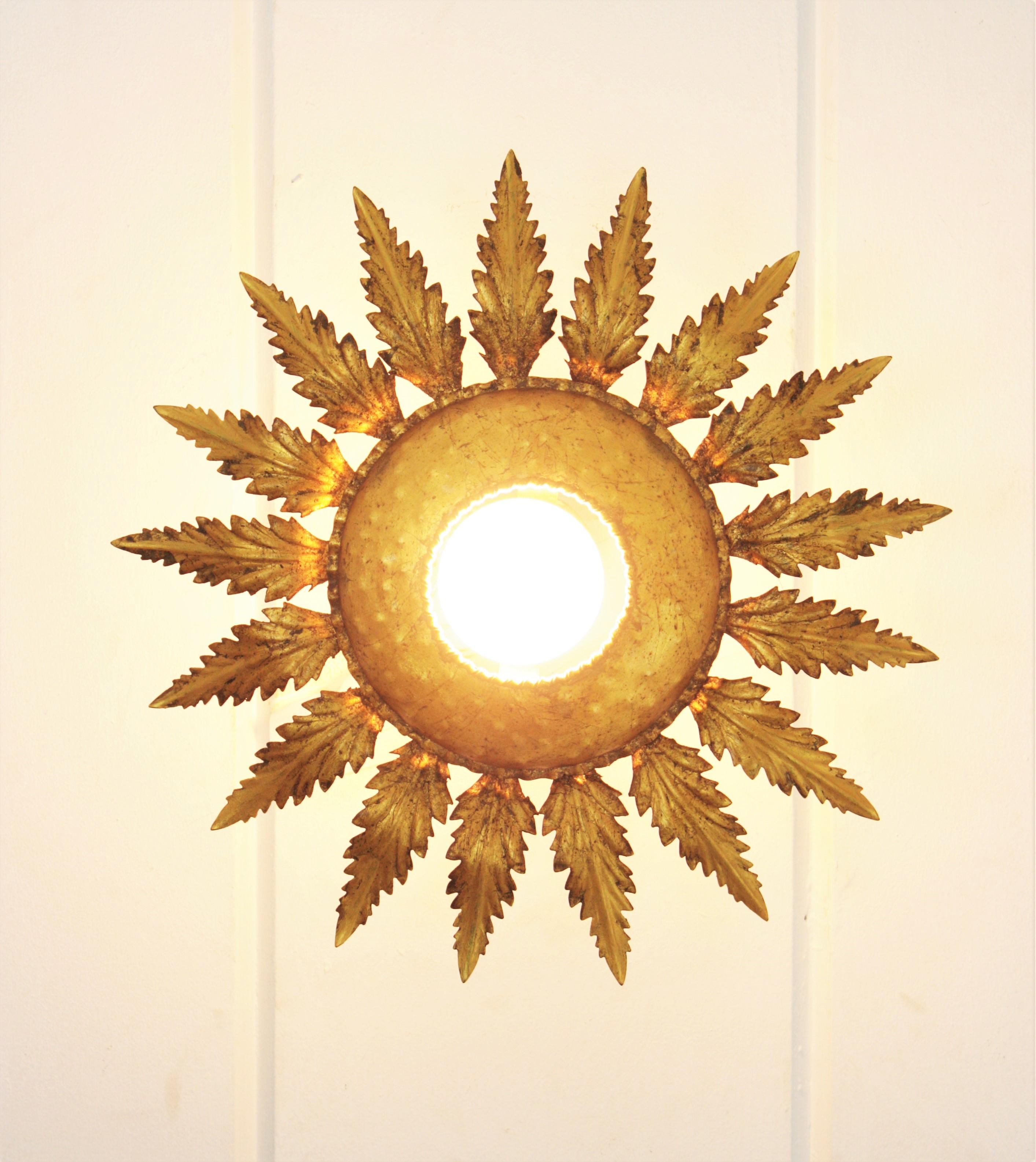 Lightsight en fer doré avec fleurs en forme de soleil en vente 6