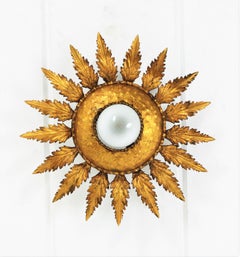 Sunburst Flower Foliage Light Fixture in Gilt Iron