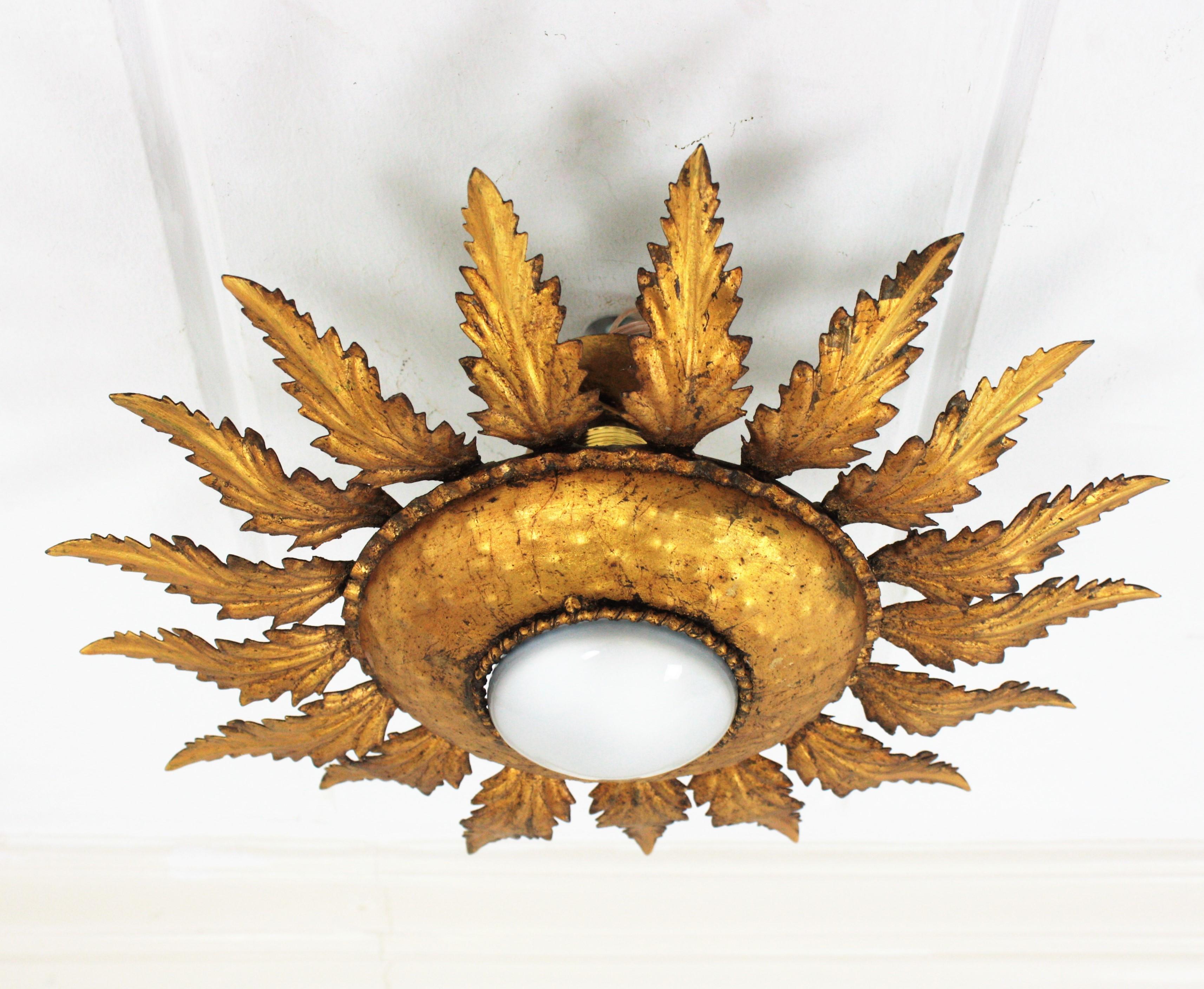 Métal Lightsight en fer doré avec fleurs en forme de soleil en vente