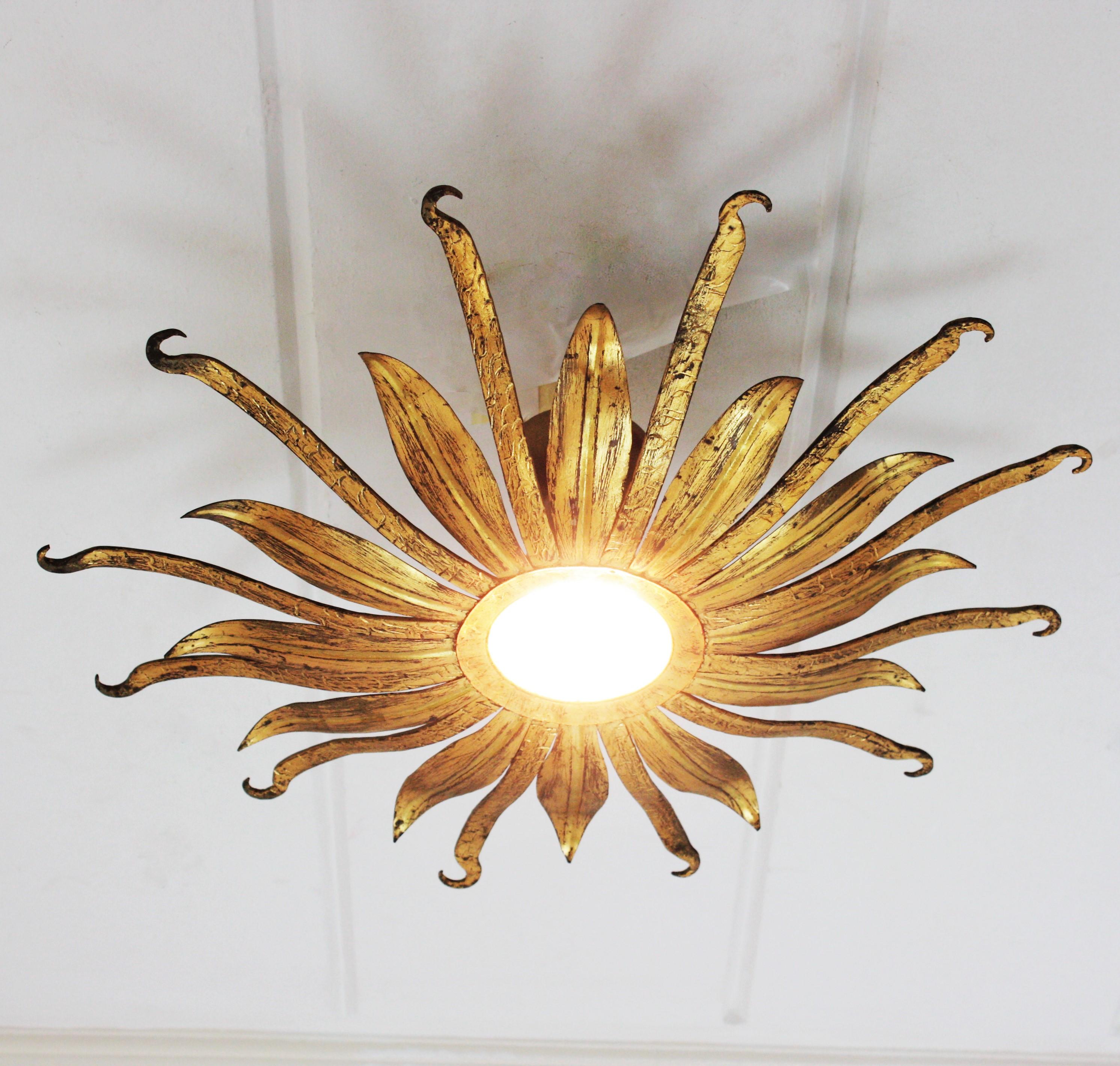 Spanish Sunburst Flower Light Fixture in Gilt Iron, 1960s 6