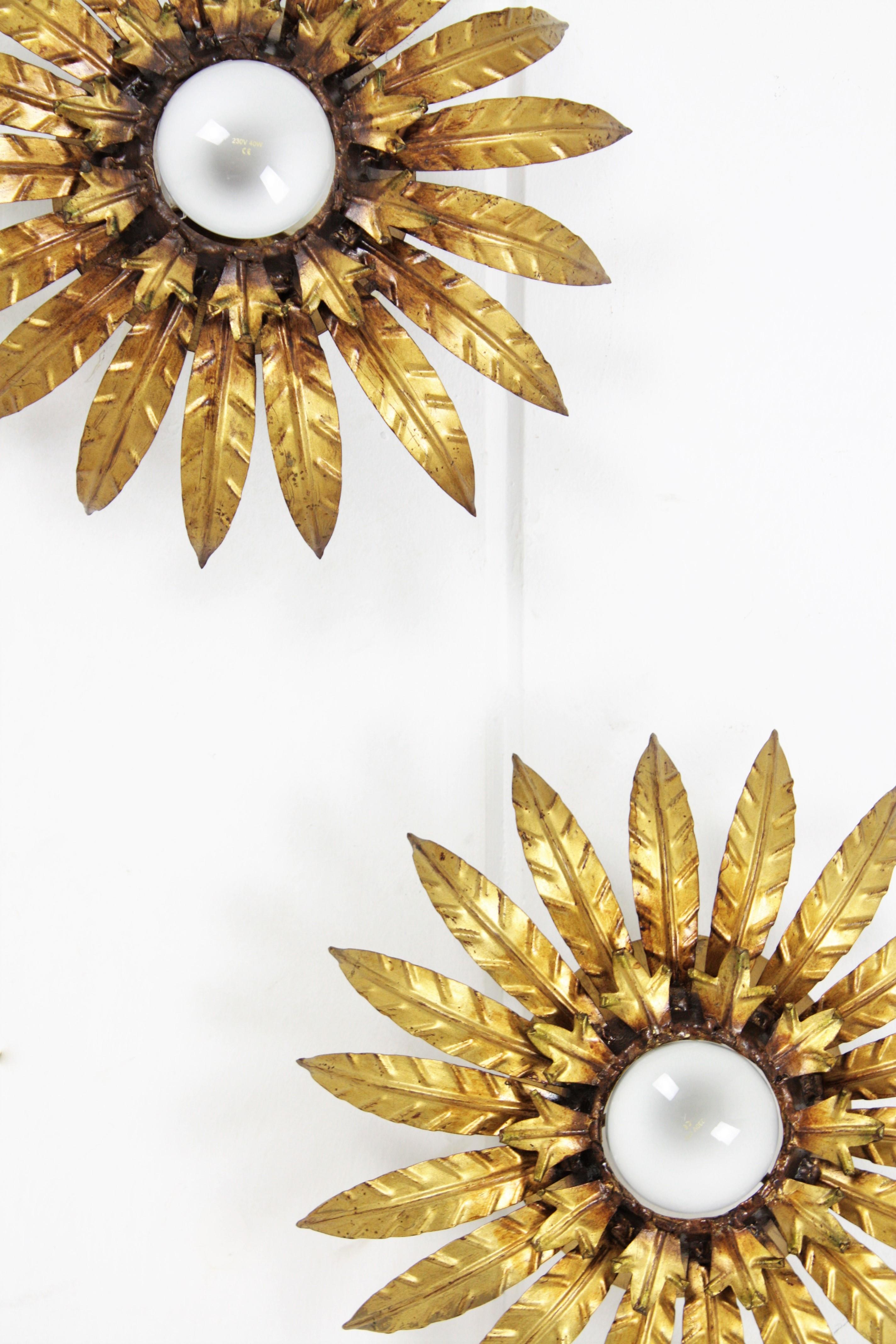 Ein Paar Sonnenschliff-Blumenleuchten aus vergoldetem Metall (Spanisch) im Angebot