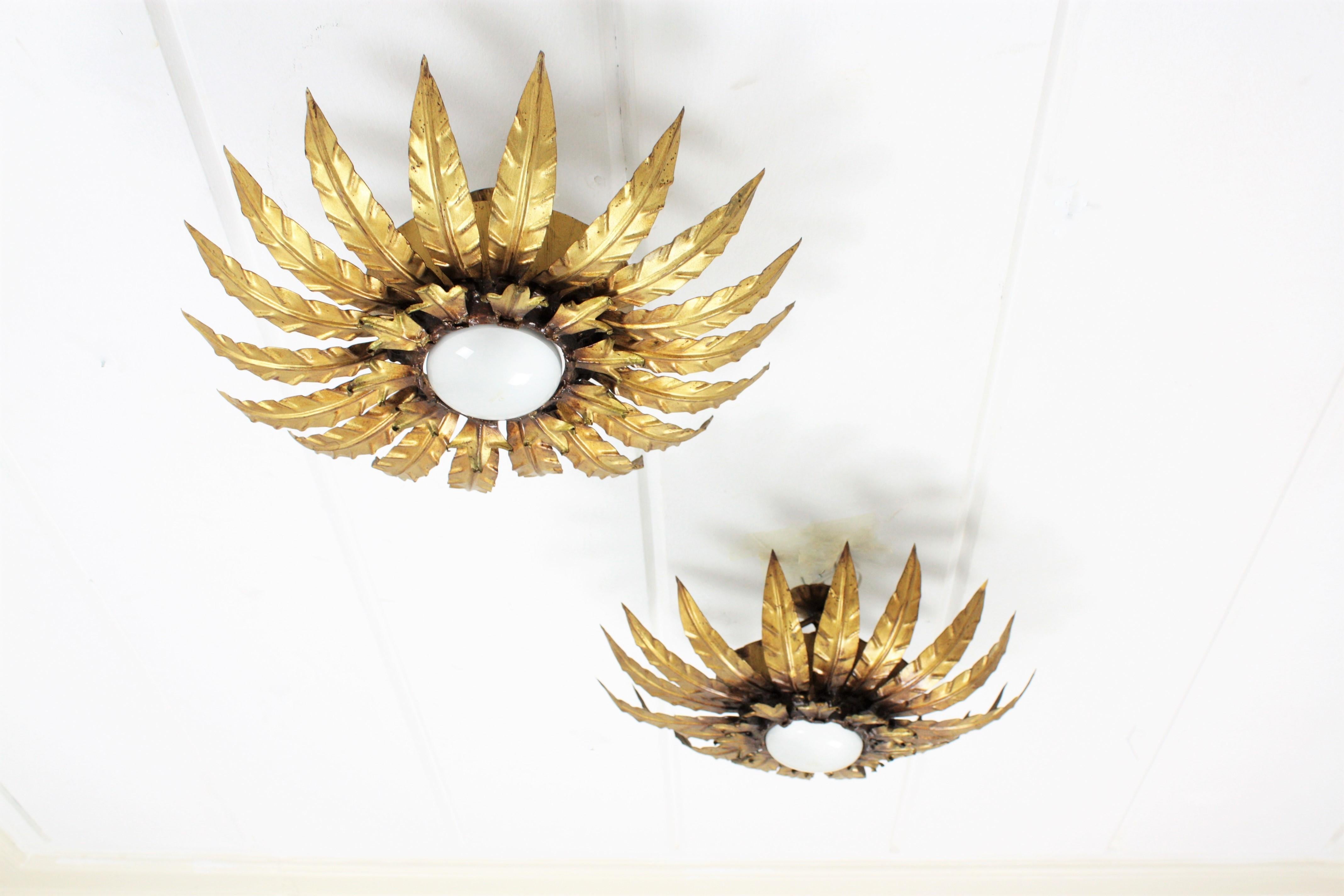Ein Paar Sonnenschliff-Blumenleuchten aus vergoldetem Metall (Gehämmert) im Angebot
