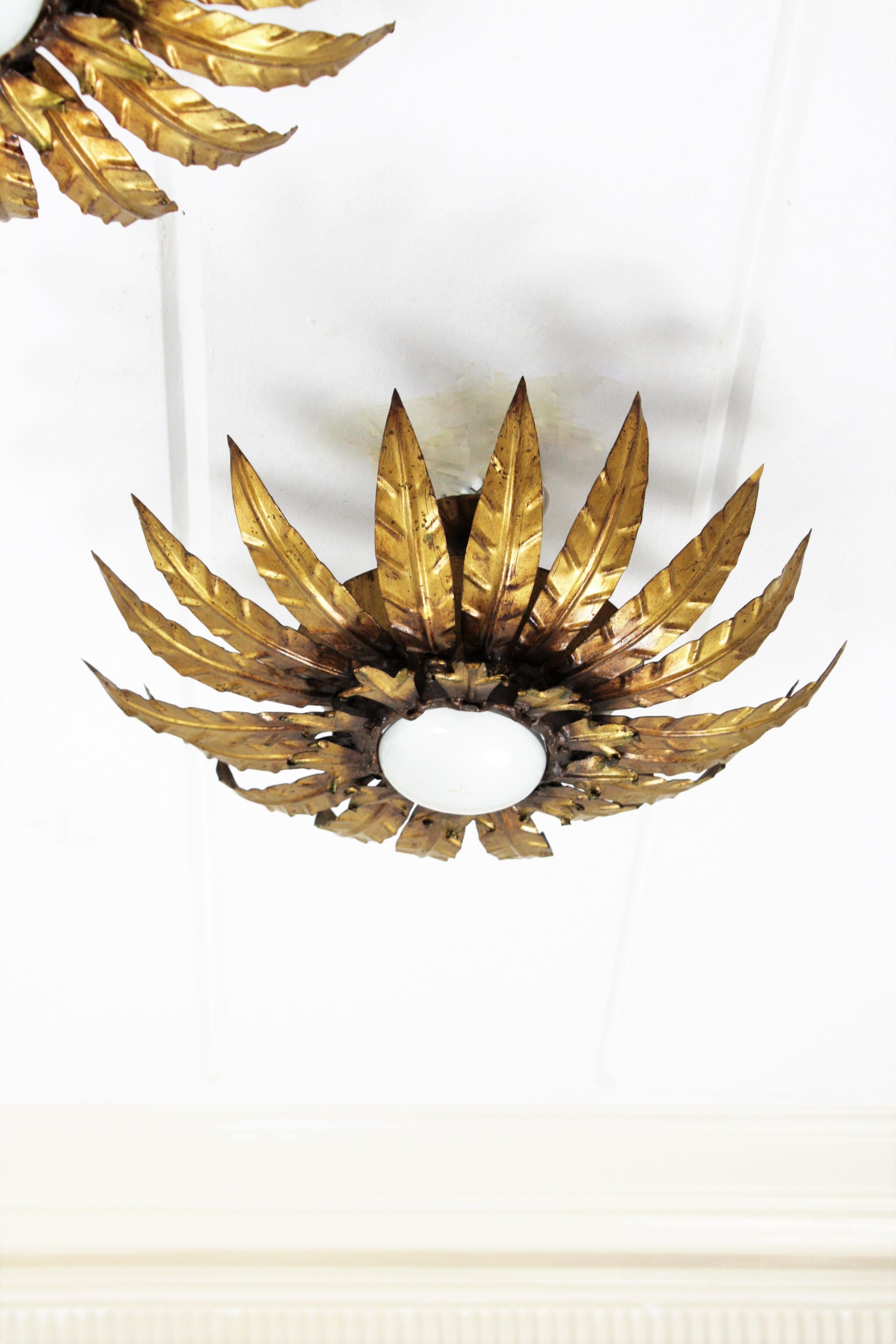 Metal Pair of Sunburst Flower Flush Mount Ceiling Light Fixtures in Gilt Iron For Sale