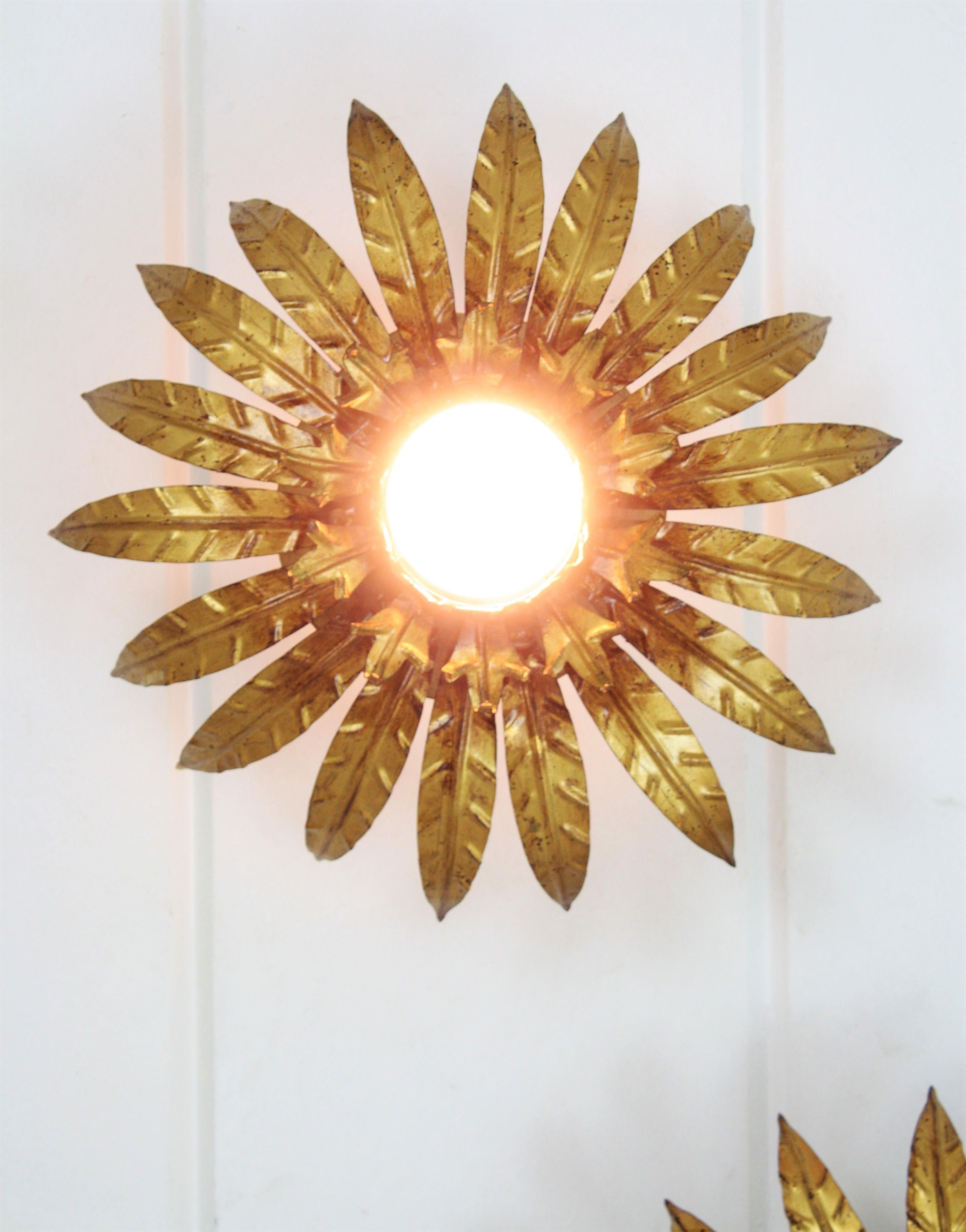 Pair of Sunburst Flower Light Fixtures in Gilt Metal For Sale 1