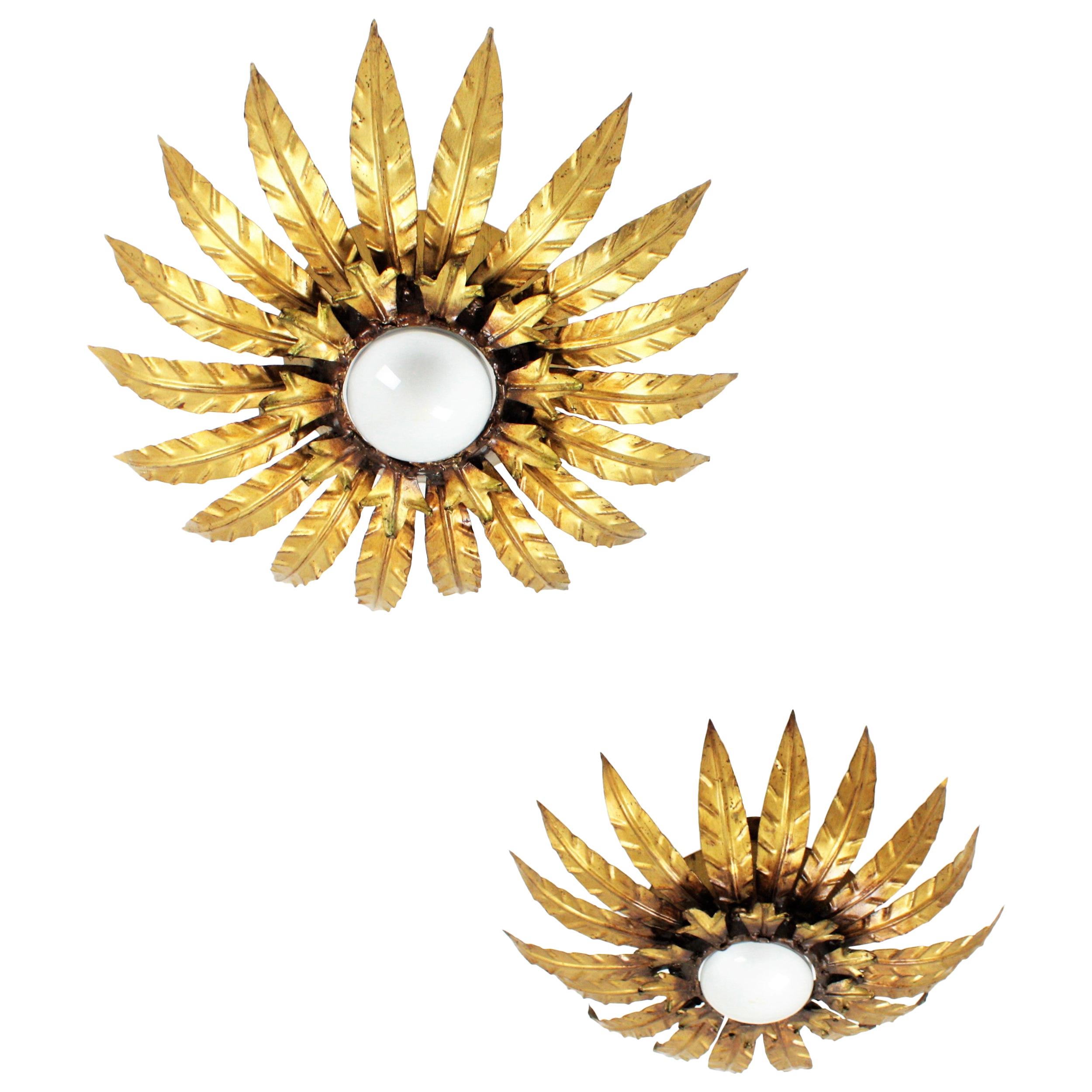 Pair of Sunburst Leafed Ceiling Light Fixtures or Wall Sconces in Gilt Metal