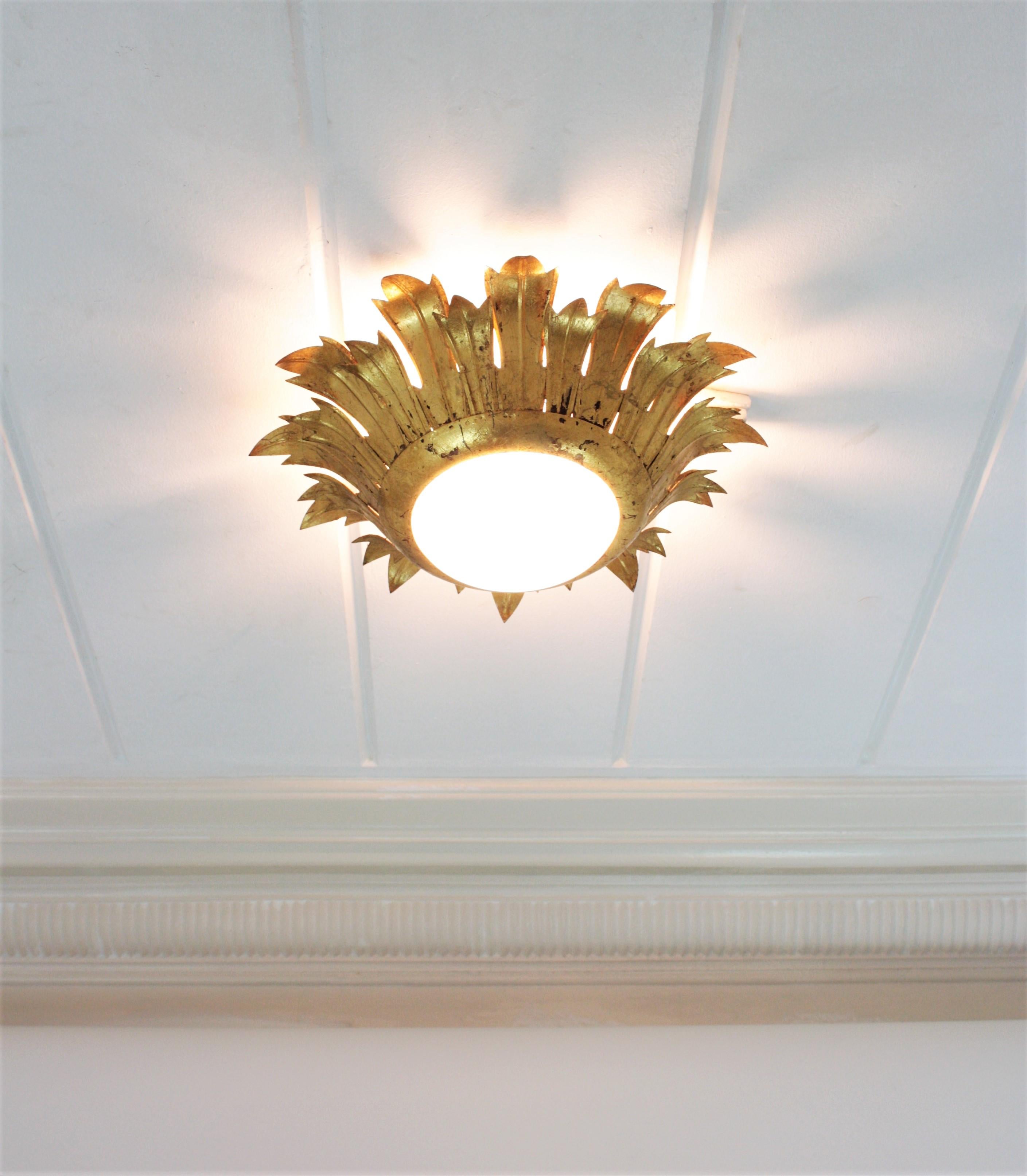 Sunburst Light Fixture in Gilt Iron and Milk Glass, 1950s 11