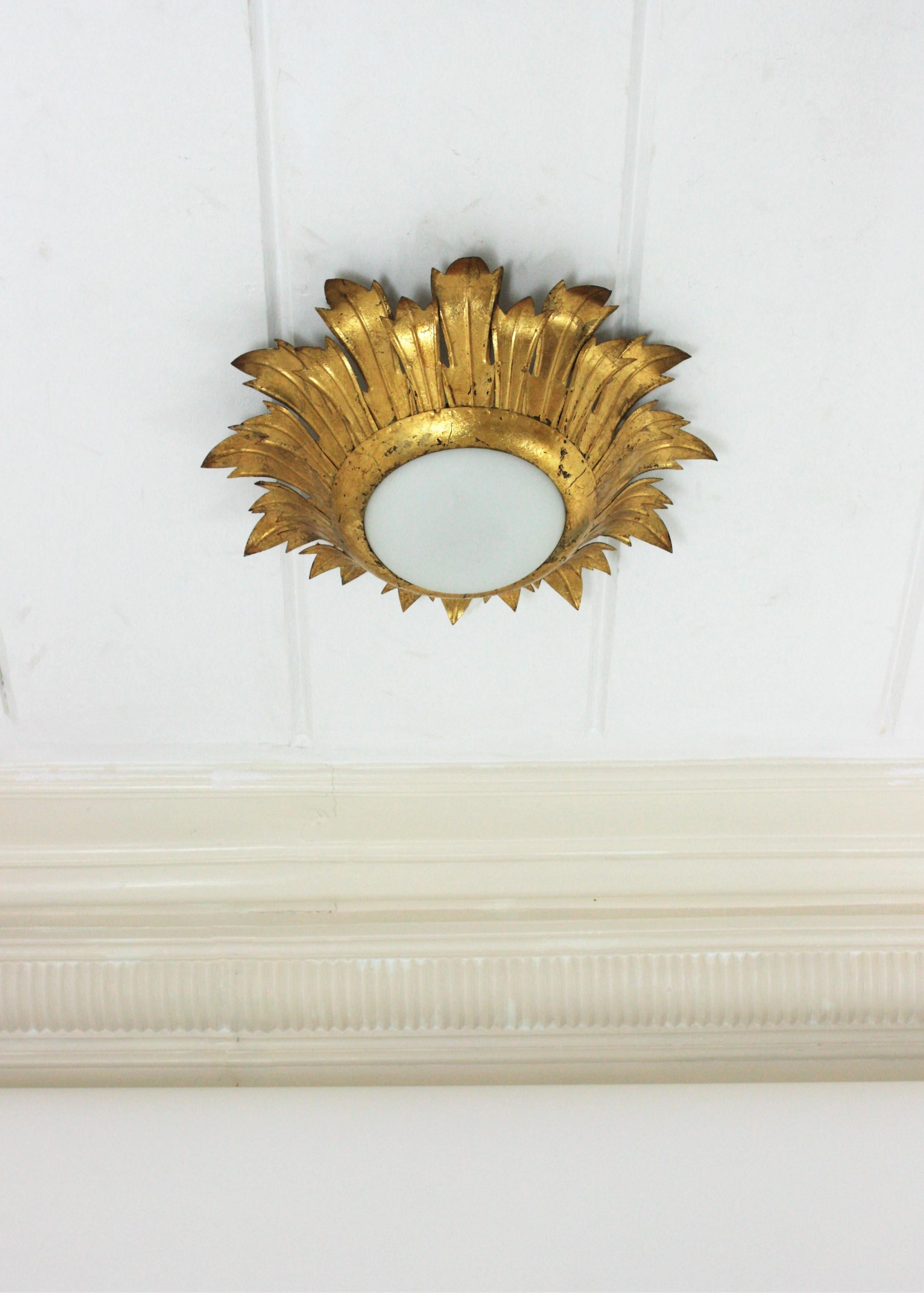 Sunburst leafed flush mount in gold gilt iron with milk glass shade. Spain, 1950s
This light fixture features an opaline glass circular shade surrounded by hand-hammered leafed sunburst frame.
Nice aged patina showing its original gold leaf