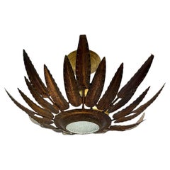 Apparecchio di illuminazione Sunburst