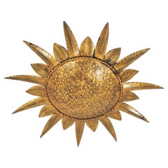 Sunburst Light Fixture in Gilt Metal, 1960s