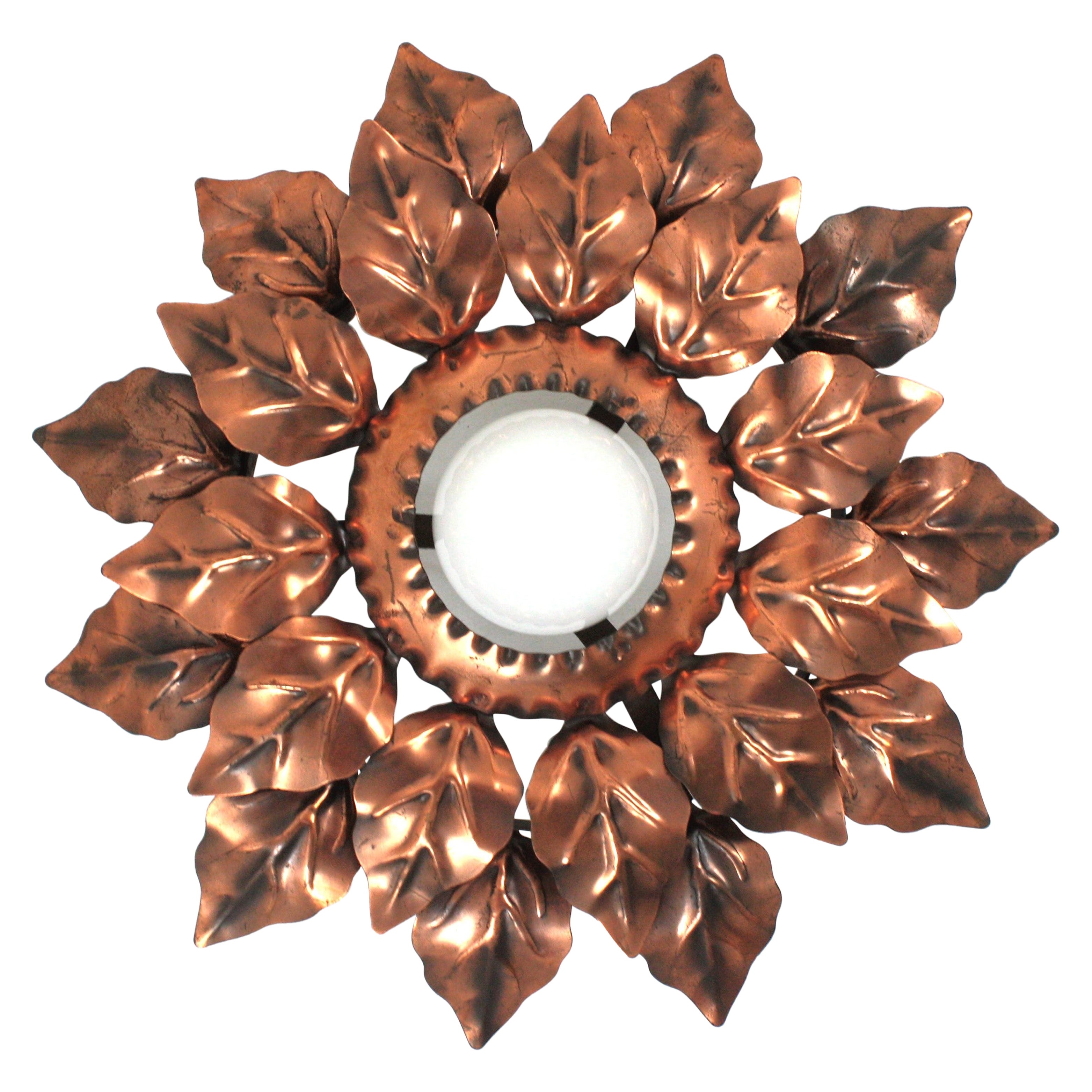 Sunburst Light Fixture with Double Leafed Frame in Coppered Gilt Iron, 1950 For Sale