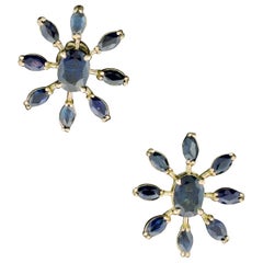 Sunburst Sapphire Earrings in 18 Karat Yellow Gold