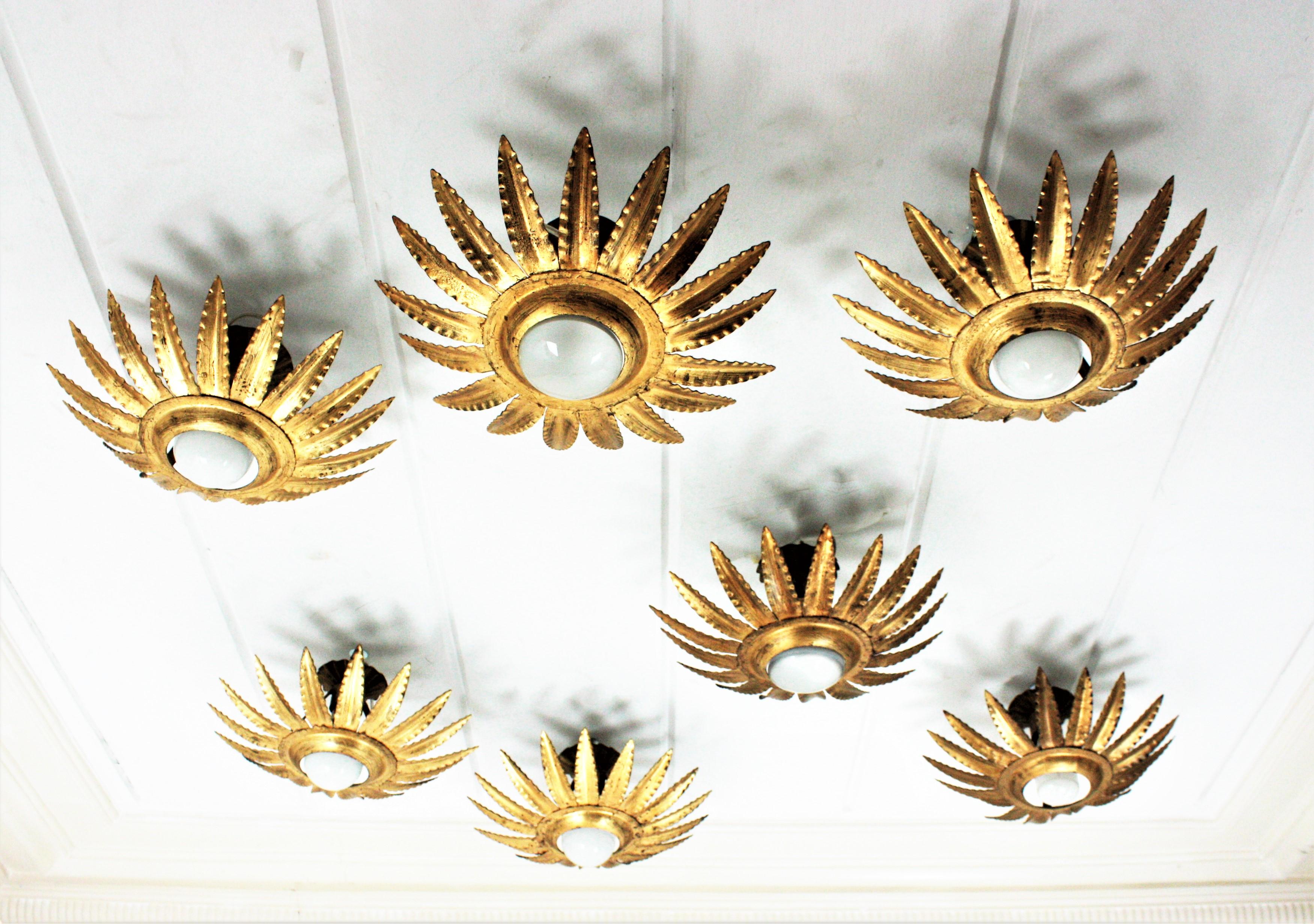 Set of seven sunburst starburst gil iron wall sconces or ceiling lights. Spain, 1960s.
These eye-caching light fixtures are handcrafted in gilt wrought. They have sunburst or flower shaped frames surrounding a central exposed bulb. Finished in gold