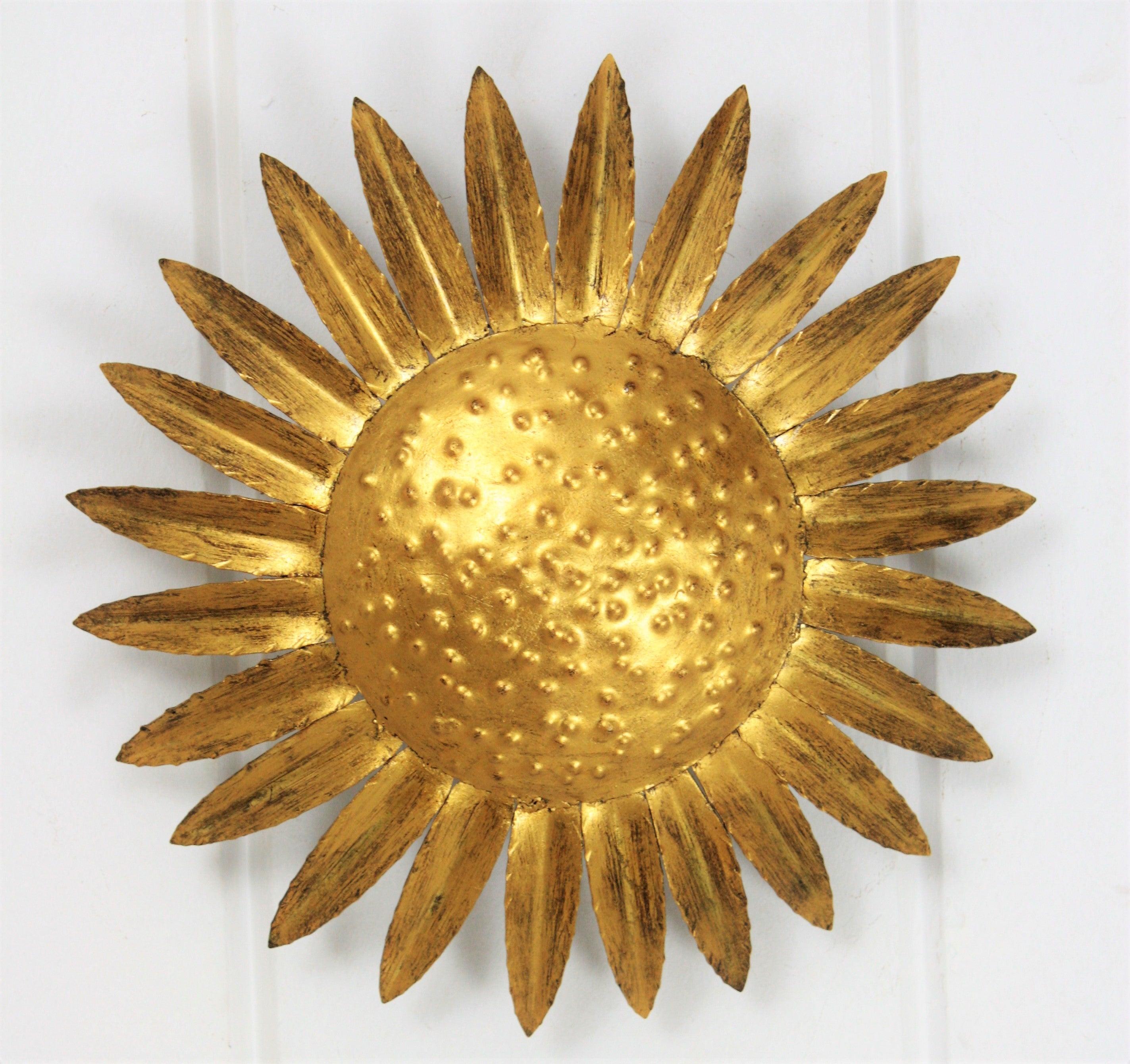 sunflower sunburst