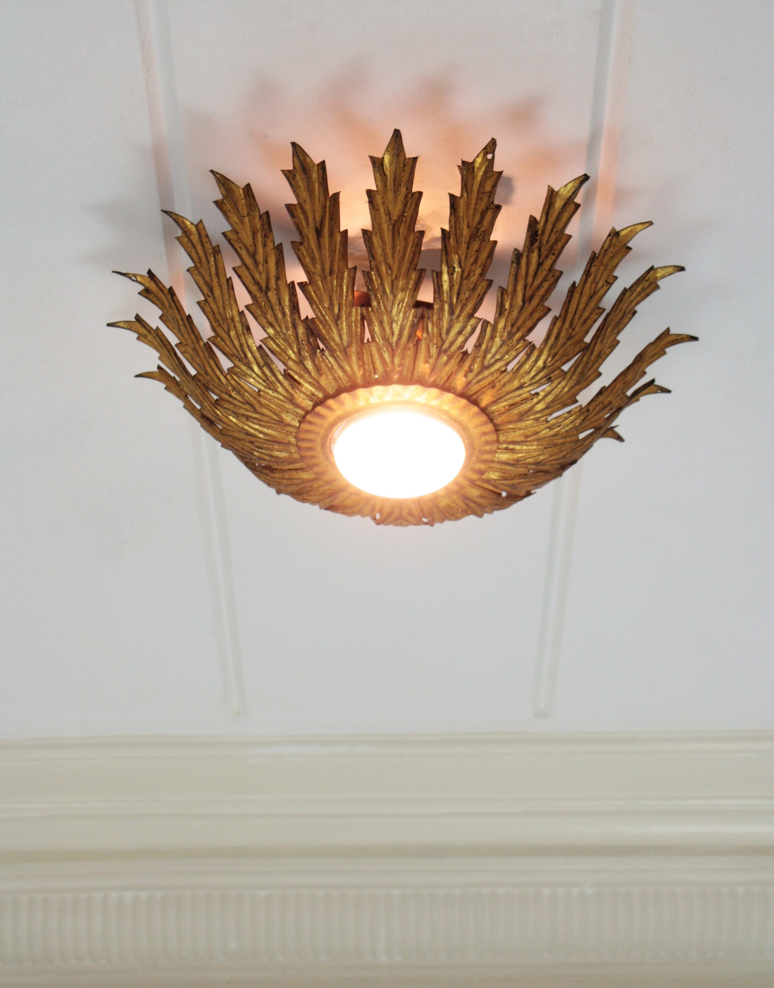 French Sunburst Light Fixture with Scalloped Leaves, Gilt Iron,  1950s For Sale 3