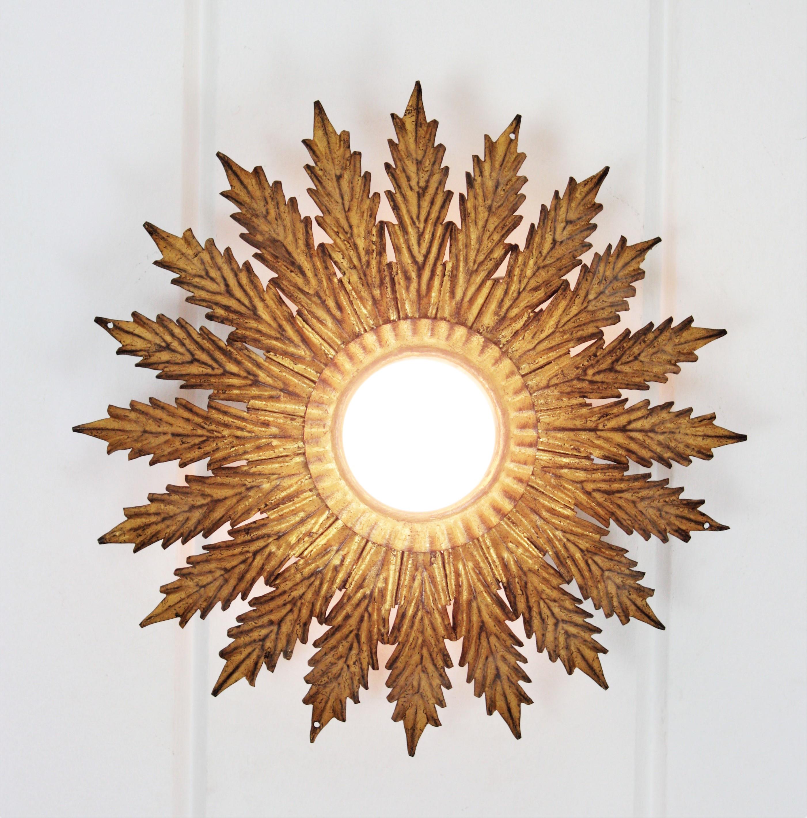 French Sunburst Light Fixture with Scalloped Leaves, Gilt Iron,  1950s For Sale 6