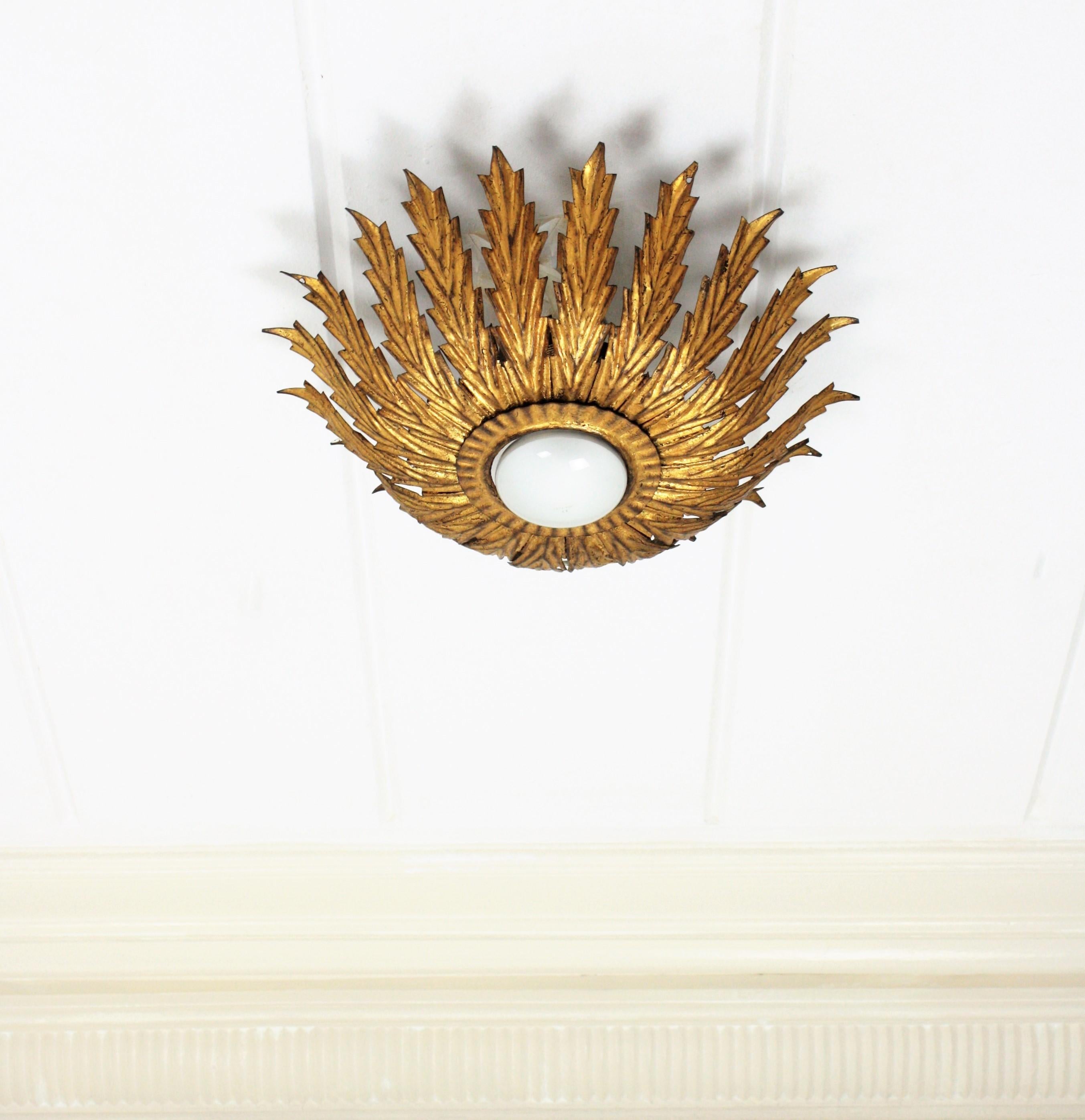 Hollywood Regency French Sunburst Light Fixture with Scalloped Leaves, Gilt Iron,  1950s For Sale