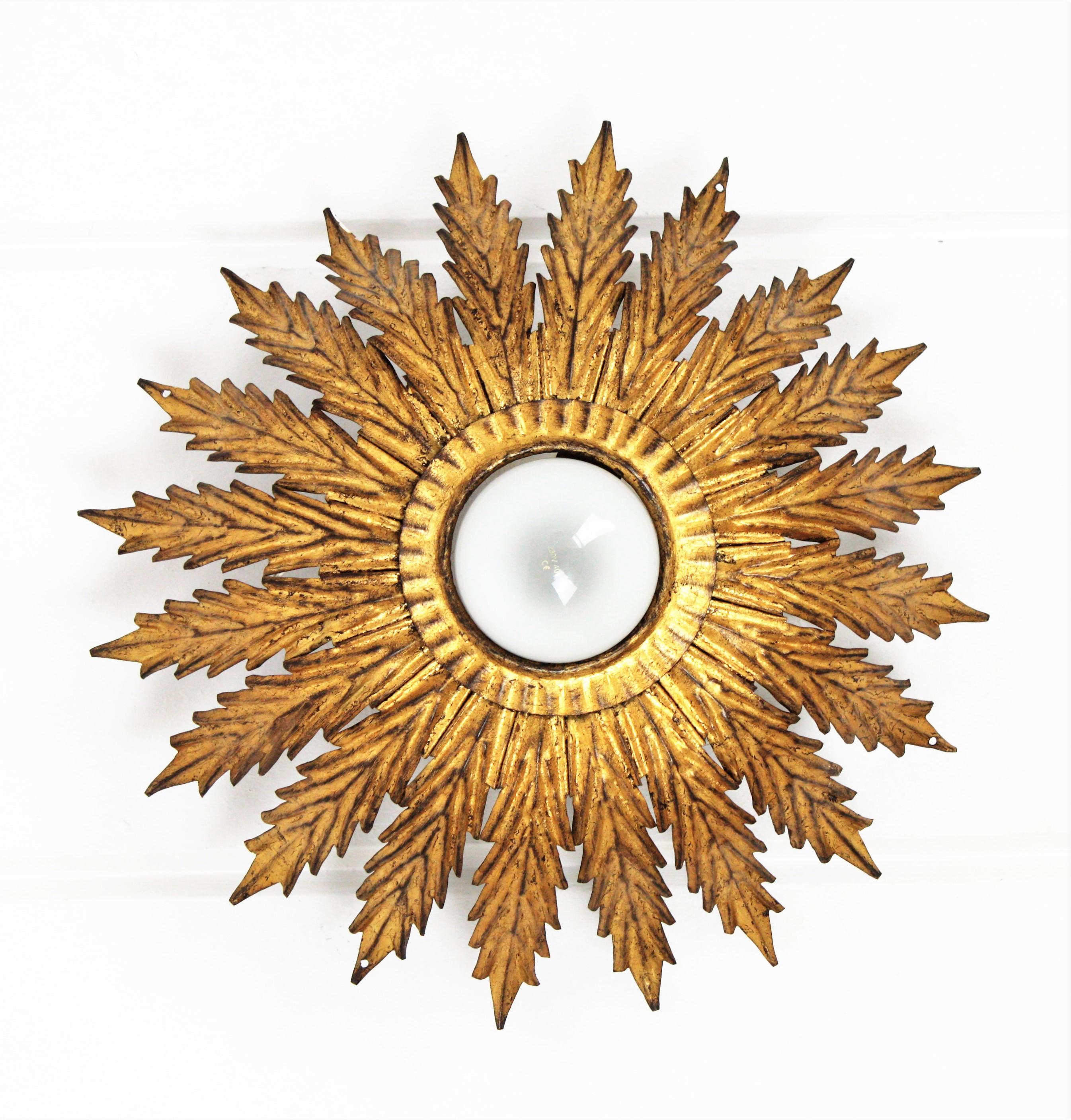 French Sunburst Light Fixture with Scalloped Leaves, Gilt Iron,  1950s In Good Condition For Sale In Barcelona, ES