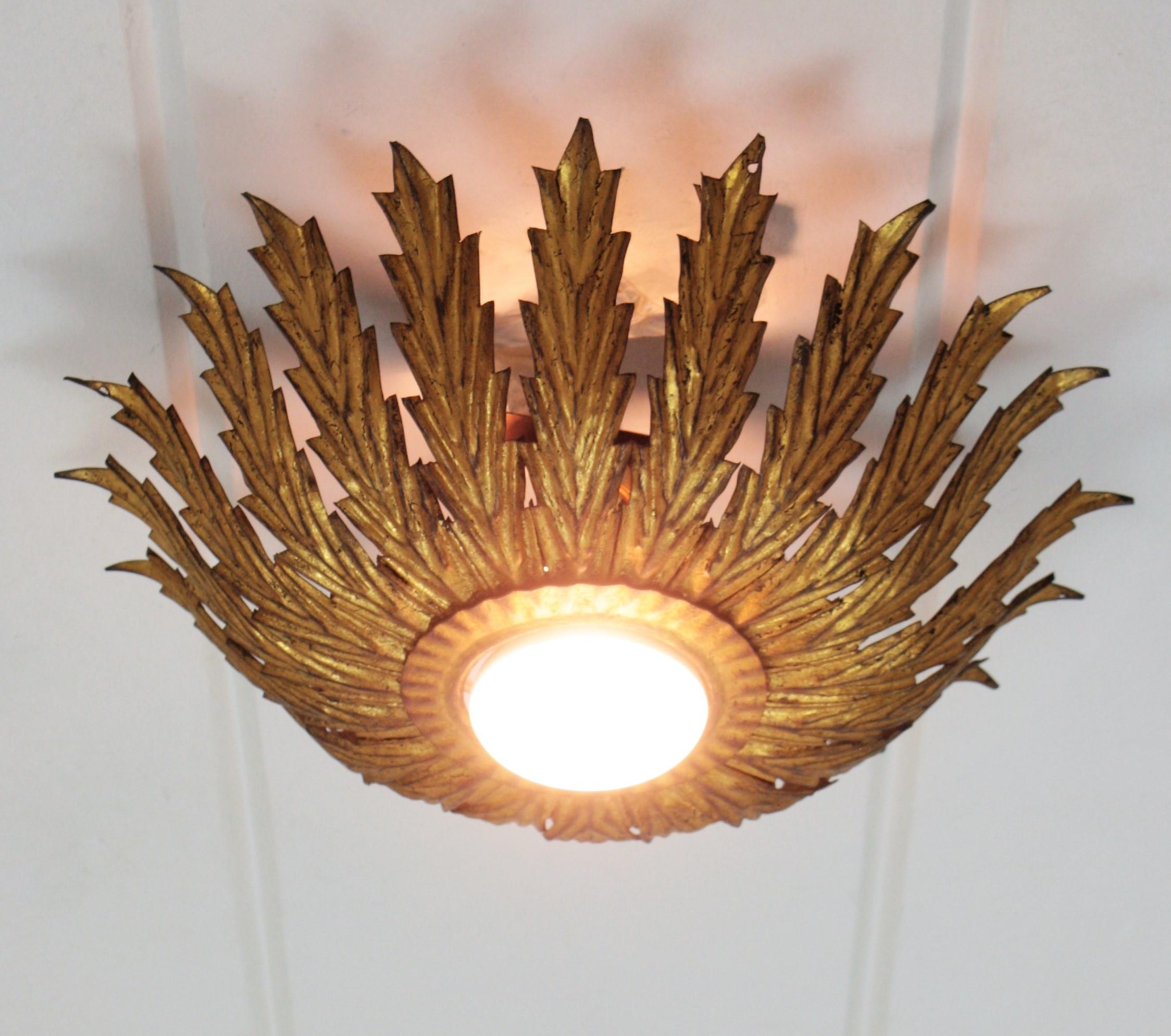 20th Century French Sunburst Light Fixture with Scalloped Leaves, Gilt Iron,  1950s For Sale
