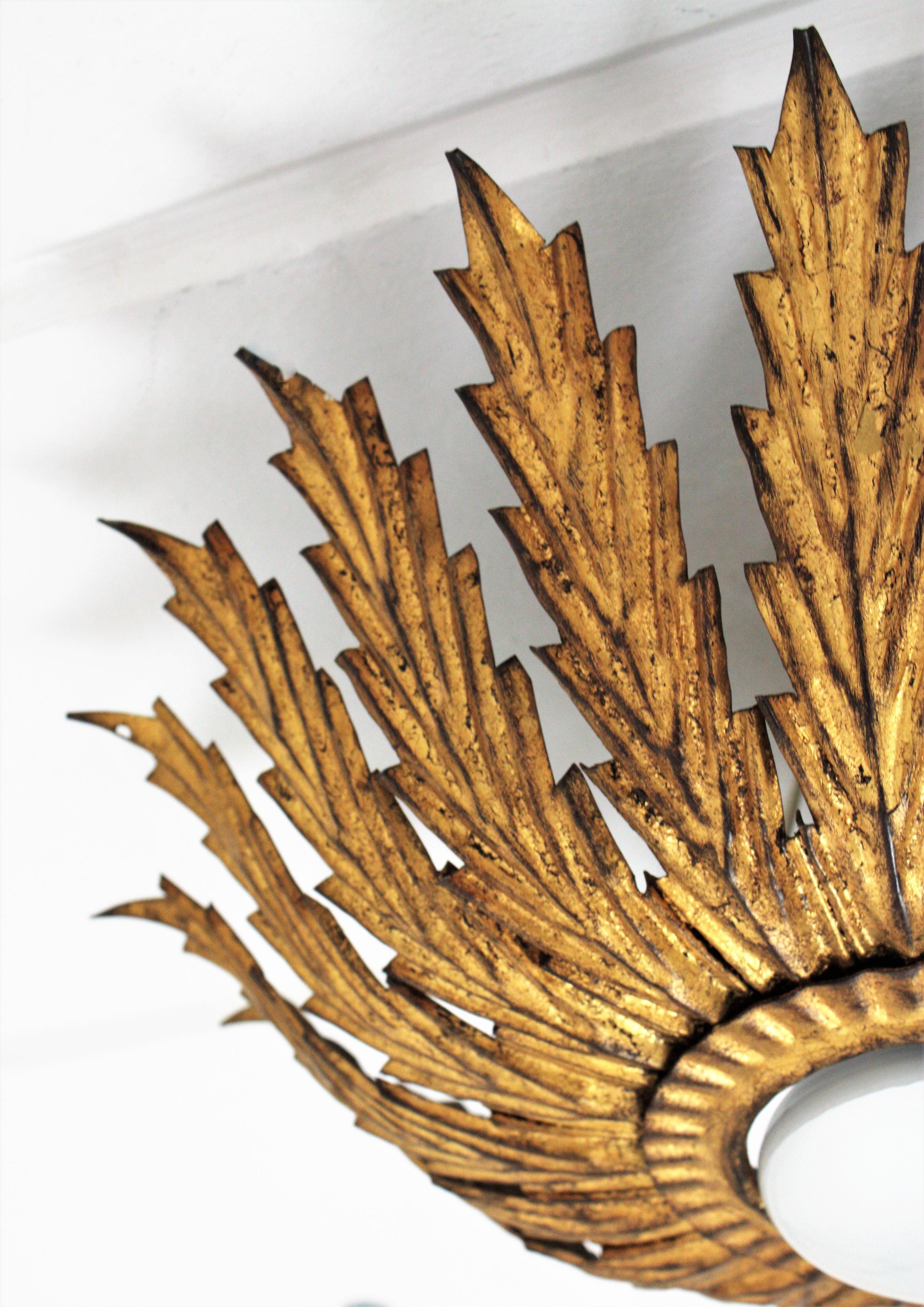 French Sunburst Light Fixture with Scalloped Leaves, Gilt Iron,  1950s For Sale 2