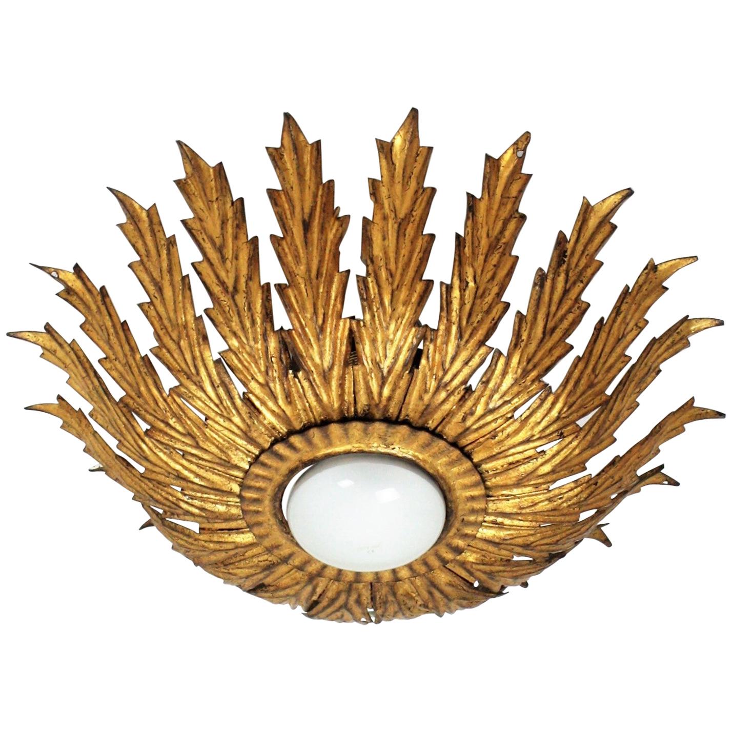 French Sunburst Light Fixture with Scalloped Leaves, Gilt Iron,  1950s For Sale