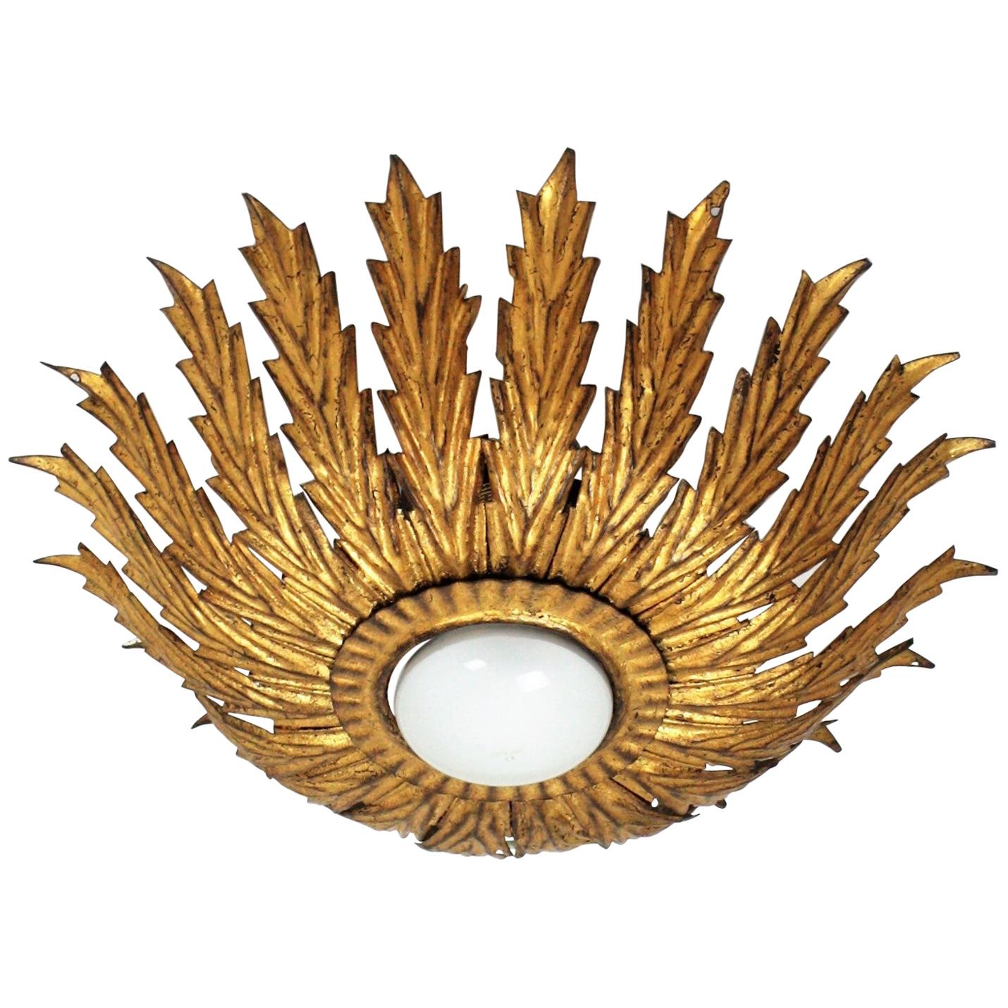 French Sunburst Light Fixture with Scalloped Leaves, Gilt Iron,  1950s