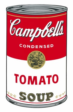 Vintage Campbell´s Tomato Soup (Andy Warhol, Pop Art) $45 SHIPPING U.S. only (not $499!)