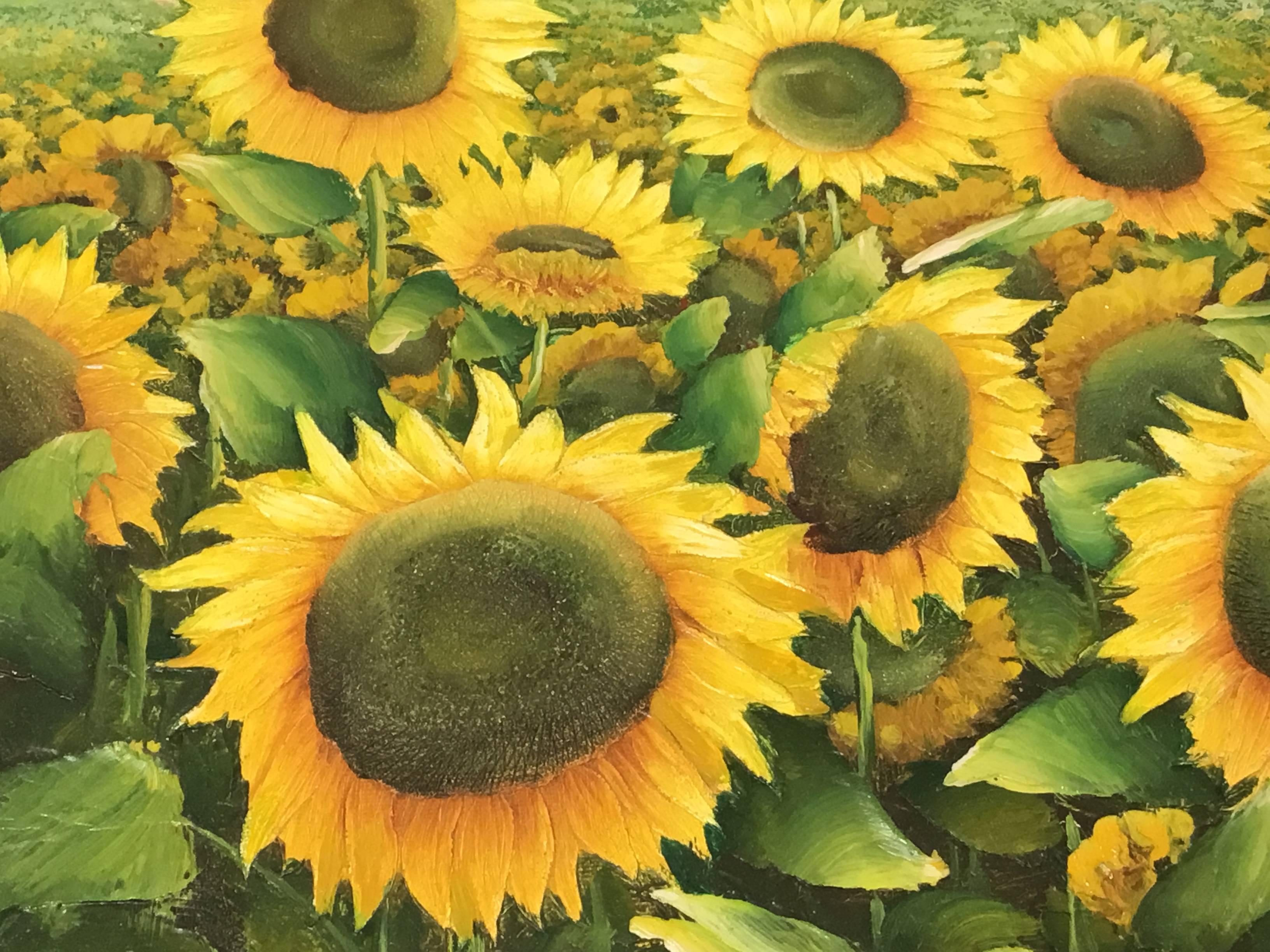 American Sunflower Field Oil Painting on Canvas