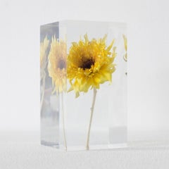Sunflower Van Gogh Acrylic Object Takao Inoue Kuramata
