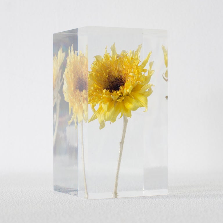 Sunflower Van Gogh Acrylic Object Takao Inoue Kuramata at 1stDibs