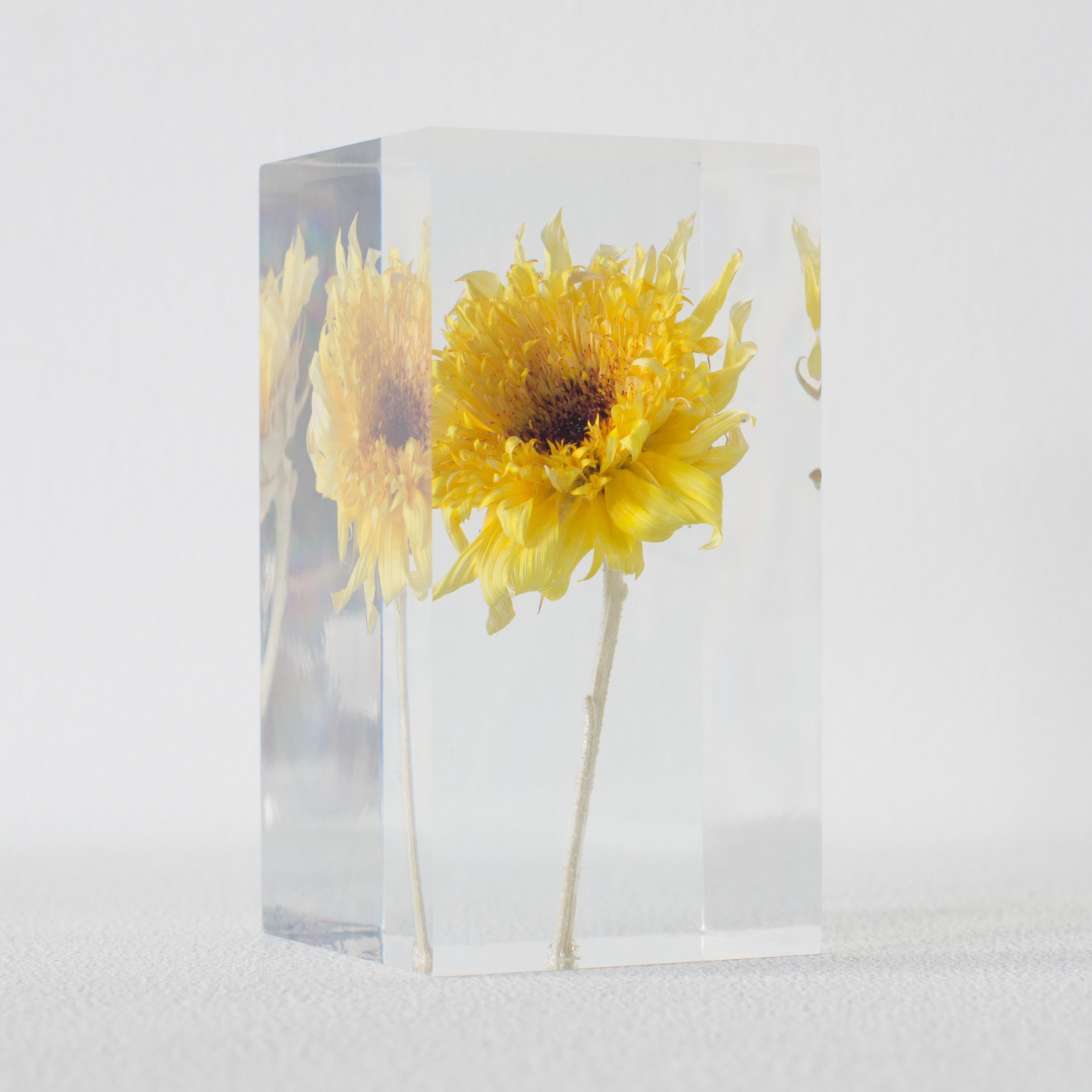 Minimalist Sunflower Van Gogh Acrylic Object Takao Inoue Kuramata