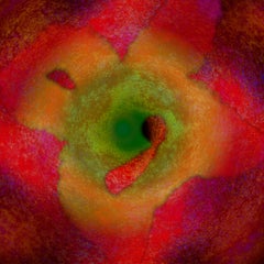 Heuristic #12 [Green, Red, Yellow, 3D, Lenticular, New media, Flower, Seed] 