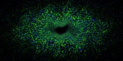 Euristica #18 [Nero, Verde, 3D, Lenticolare, Nuovi media, Galassia, Lunga larghezza].