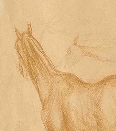 Cavalli primitivi III, Disegno, Marrone, Conte su carta di Artista Indiano "In magazzino"