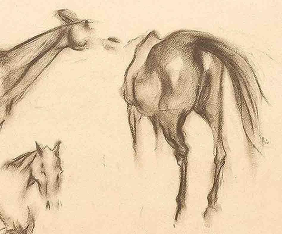 Frühe Pferde VIII, Holzkohle auf Papier, Zeichnung, Schwarz von Sunil Das 