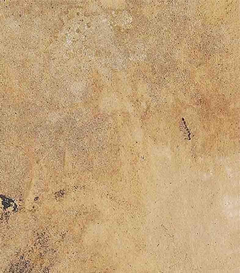 Horse III, Pastell auf Sandpapier, Schwarz von PadmaShree Künstler Sunil Das „In Stock“ im Angebot 2