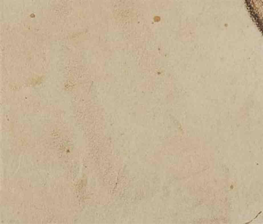 Sunil Das - Pferd IV - 8 x 10,5 Zoll (ungerahmtes Format)
Farbiges Pastell auf Papier
Inklusive Versand in hängefertiger Form.

Sunil Das war einer der wichtigsten postmodernen Maler Indiens und wurde durch seine Pferdezeichnungen bekannt. Er hat