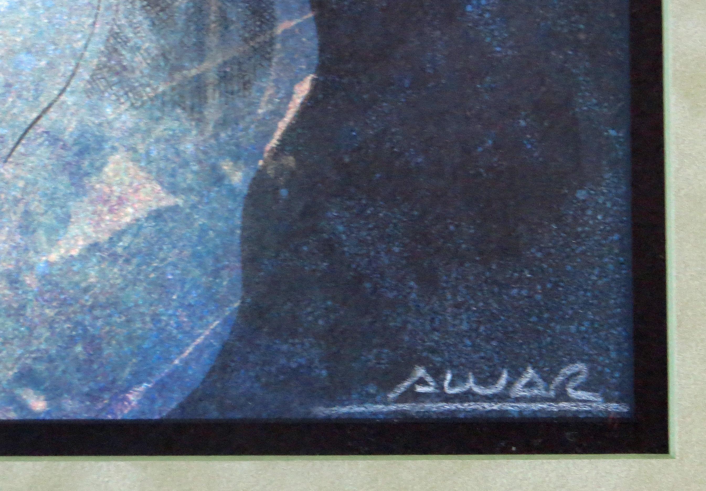 sunol alvar catalogue