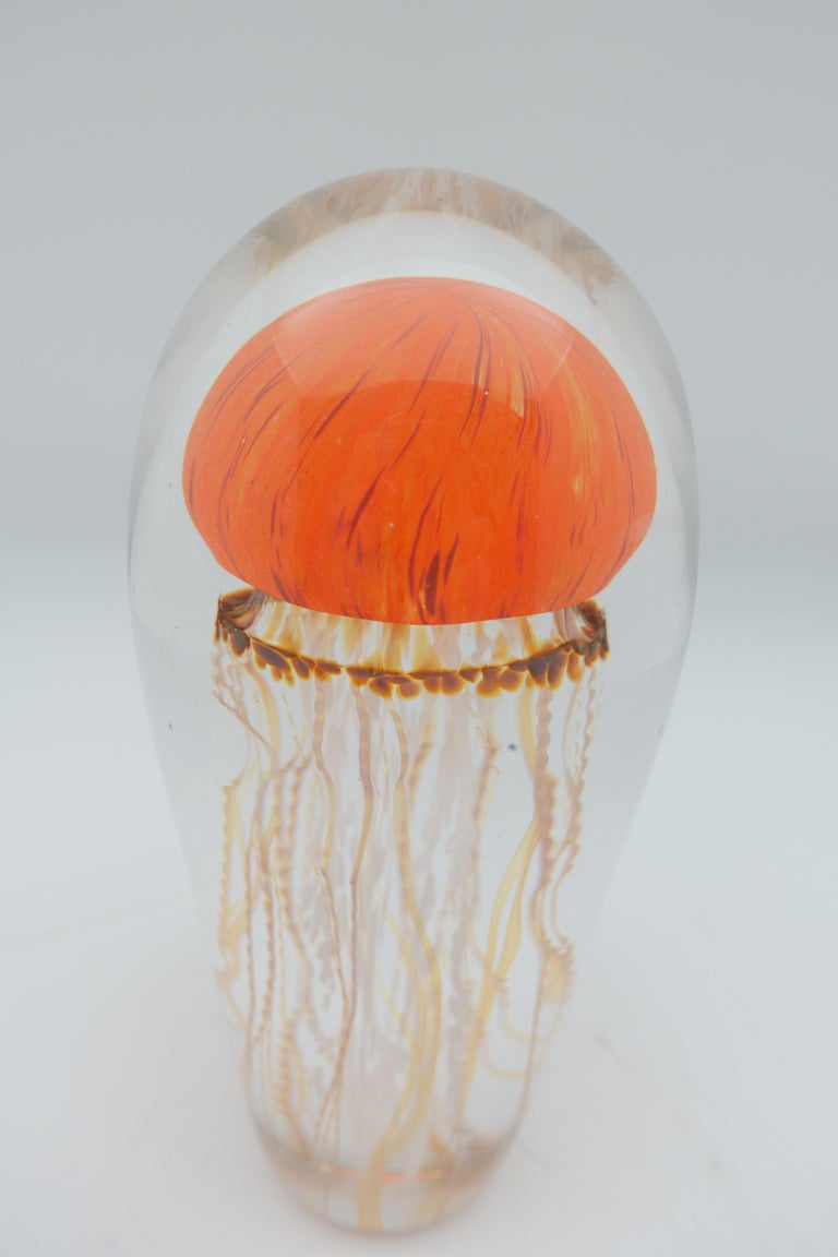 Sunrise Glass Jellyfish Sculpture For Sale at 1stDibs jellyfish in glas