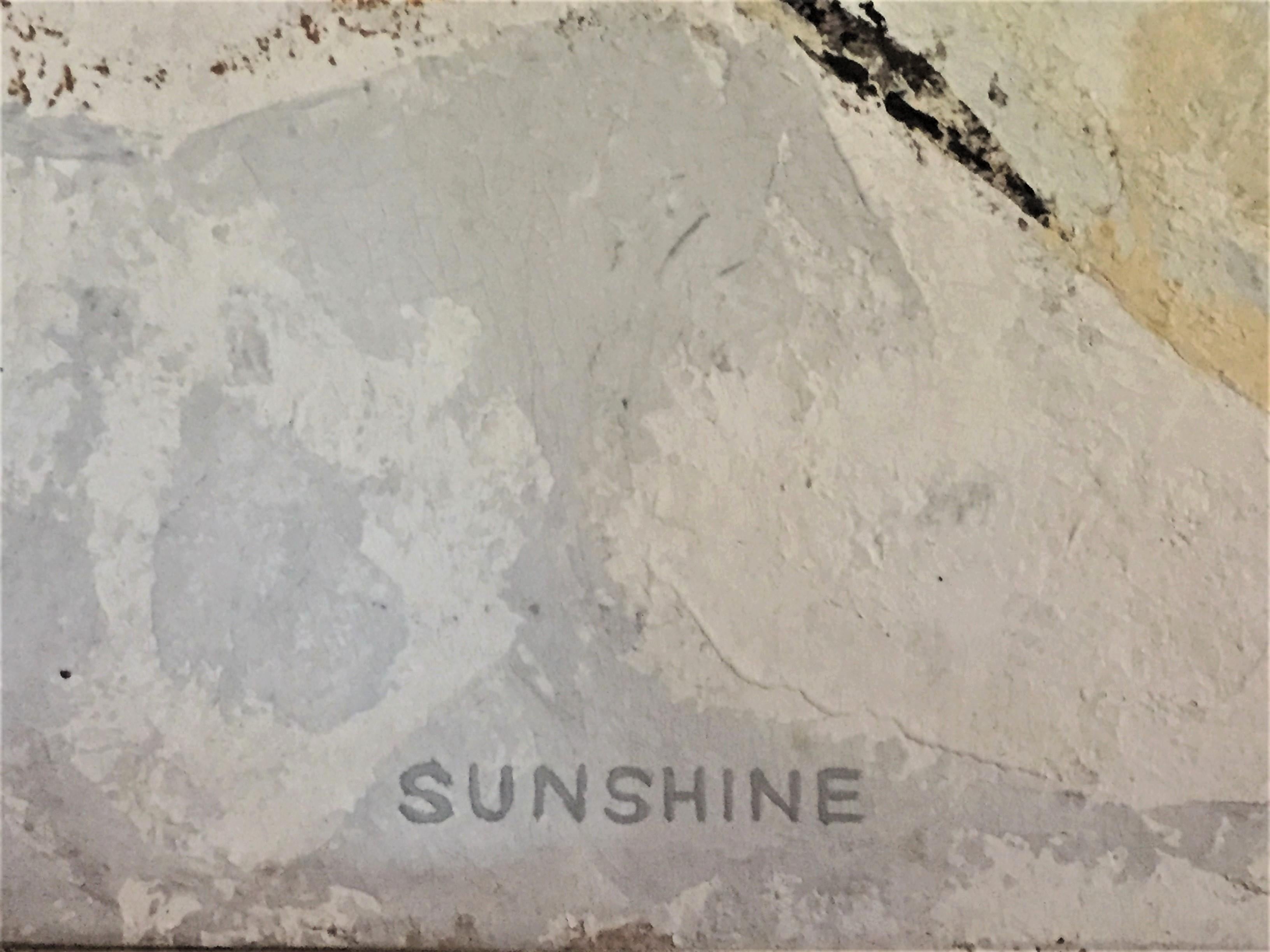 Mid-20th Century Sunshine, Original Upstate New York Landscape with Ashocan Reservoir For Sale