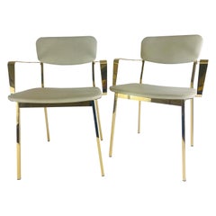 Super chic Italian leather and brass side shares/a pair