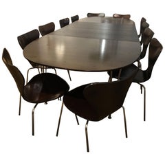 Antique Super Elipse Dining Table, Wengé by Piet Hein, Matching with 12 Chairs