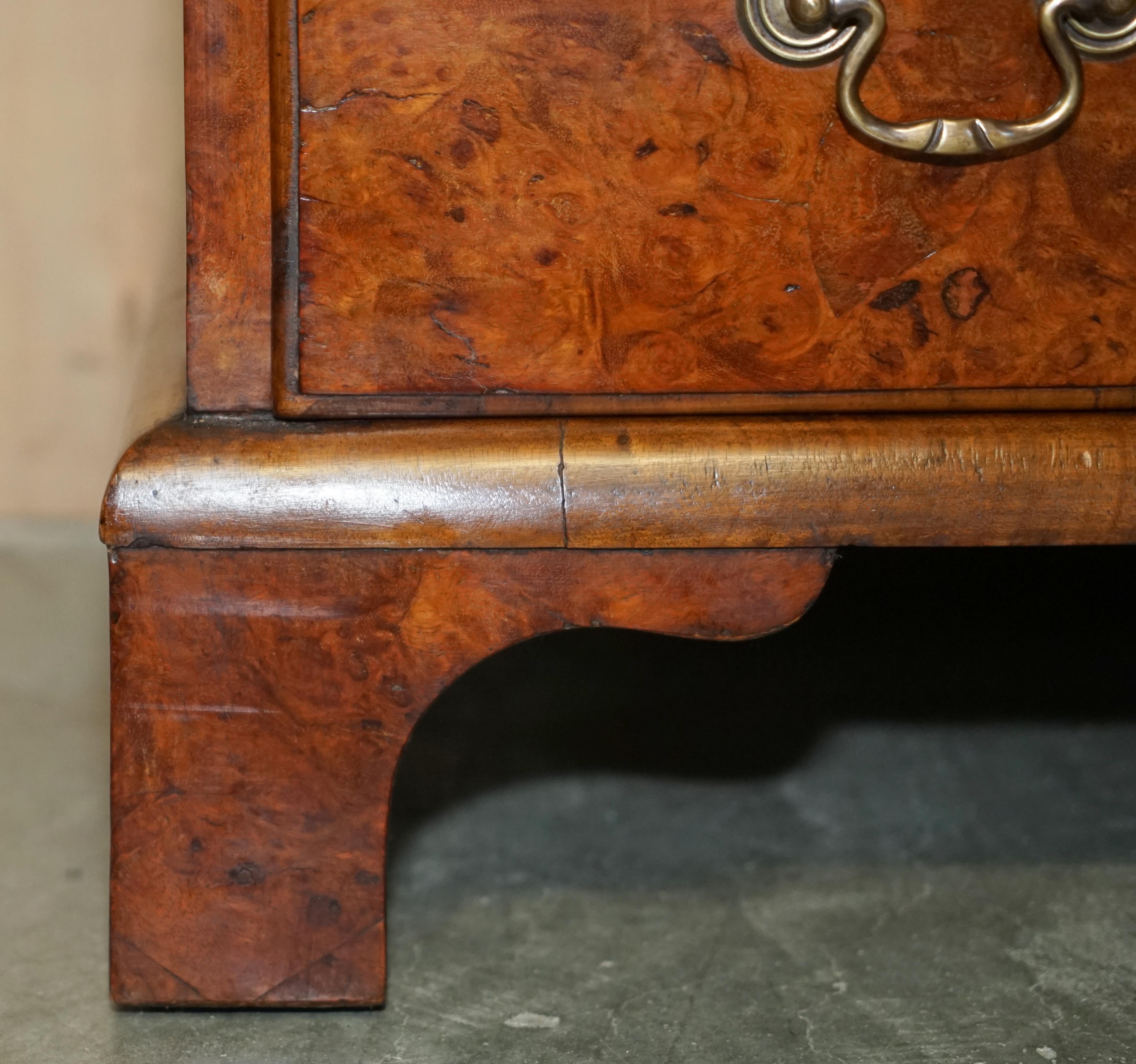 SUPER FiNE FULLY RESTORED ANTIQUE GEORGIAN CIRCA 1780 BURR ELM CHEST OF DRAWERs For Sale 4